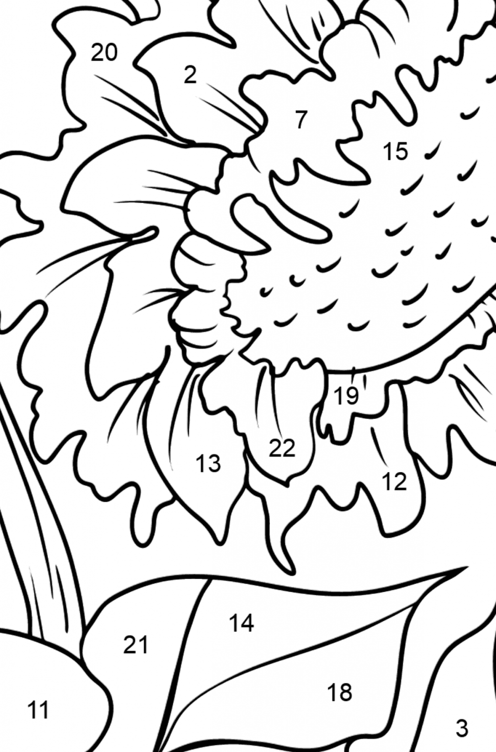 Sunflower Coloring Page ♥ Online and Print for Free!