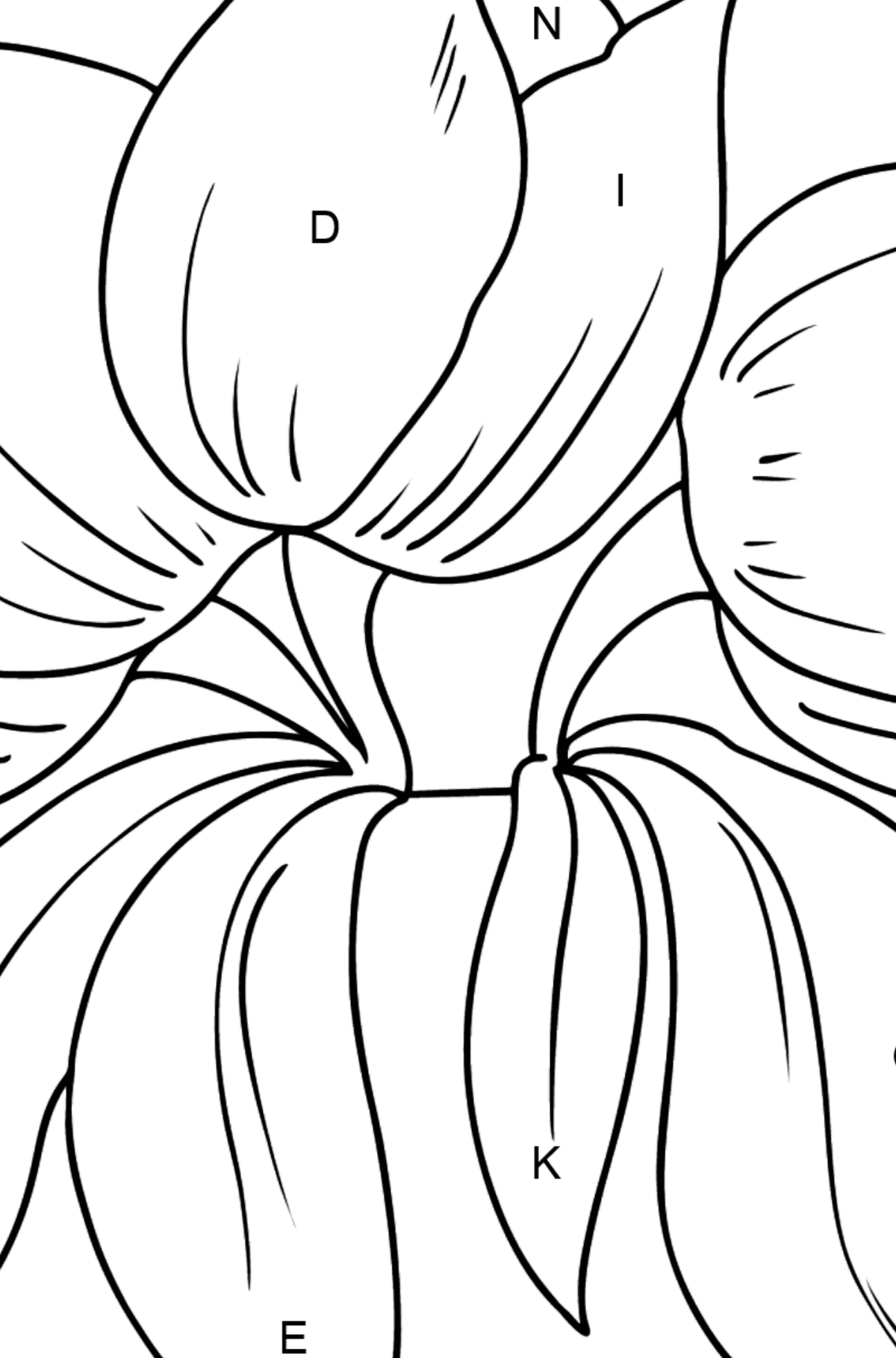 Dibujo para colorear flor - tulipanes - Colorear por Letras para Niños