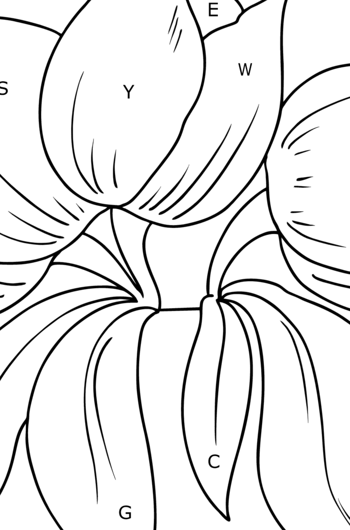 Tegning til fargelegging Tulipan - Fargelegge etter bokstaver for barn