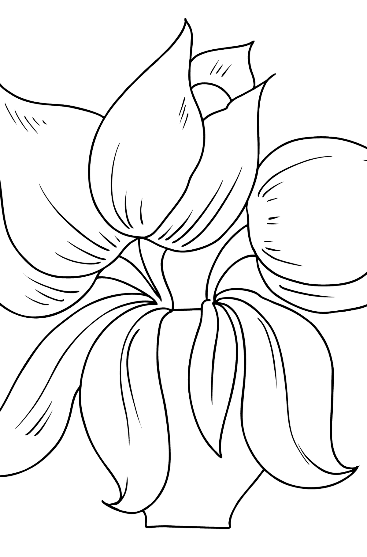 Flower Coloring Page - Tulips - Coloring Pages for Kids