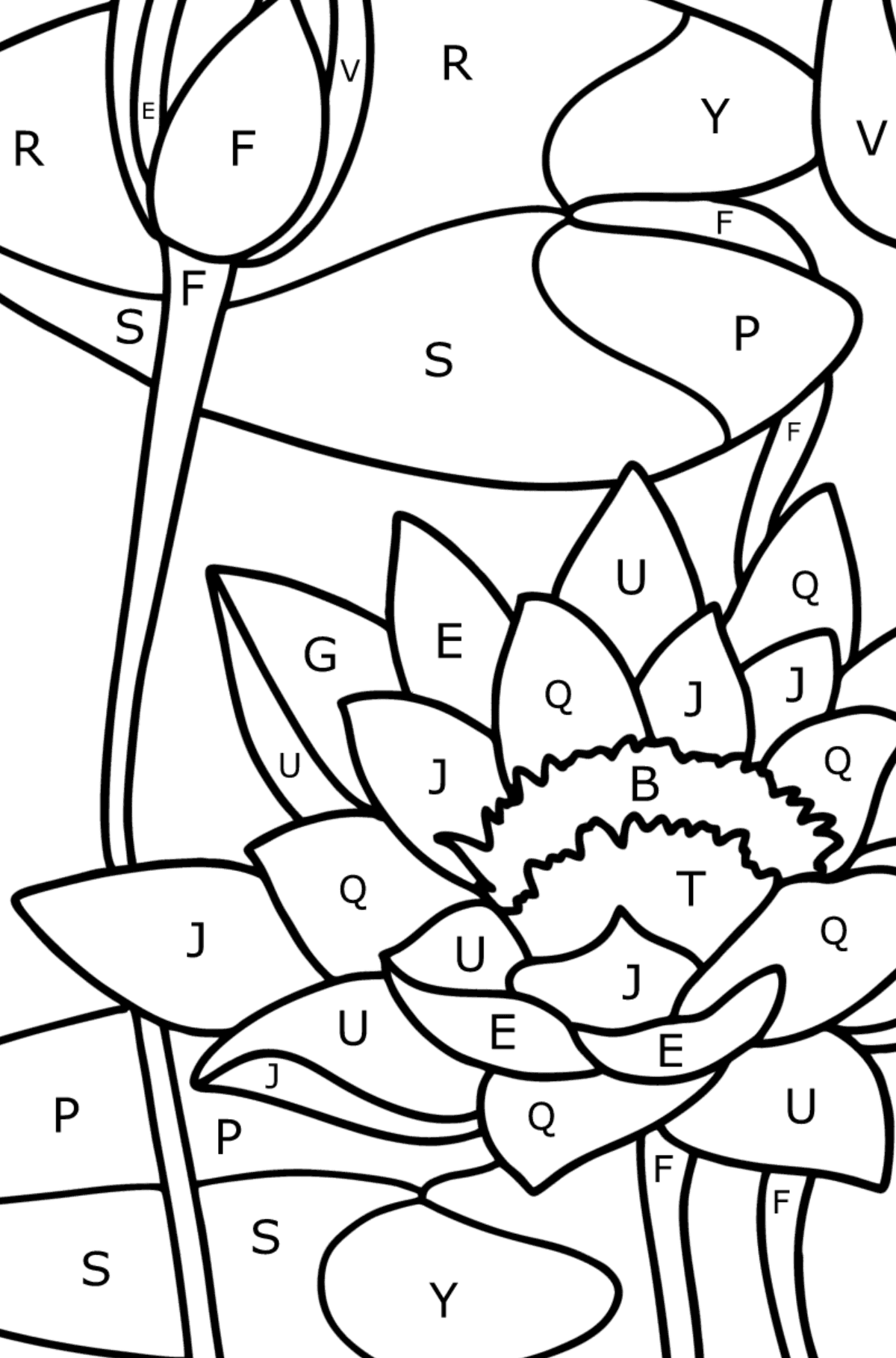 Water lily coloring page - Coloring by Letters for Kids