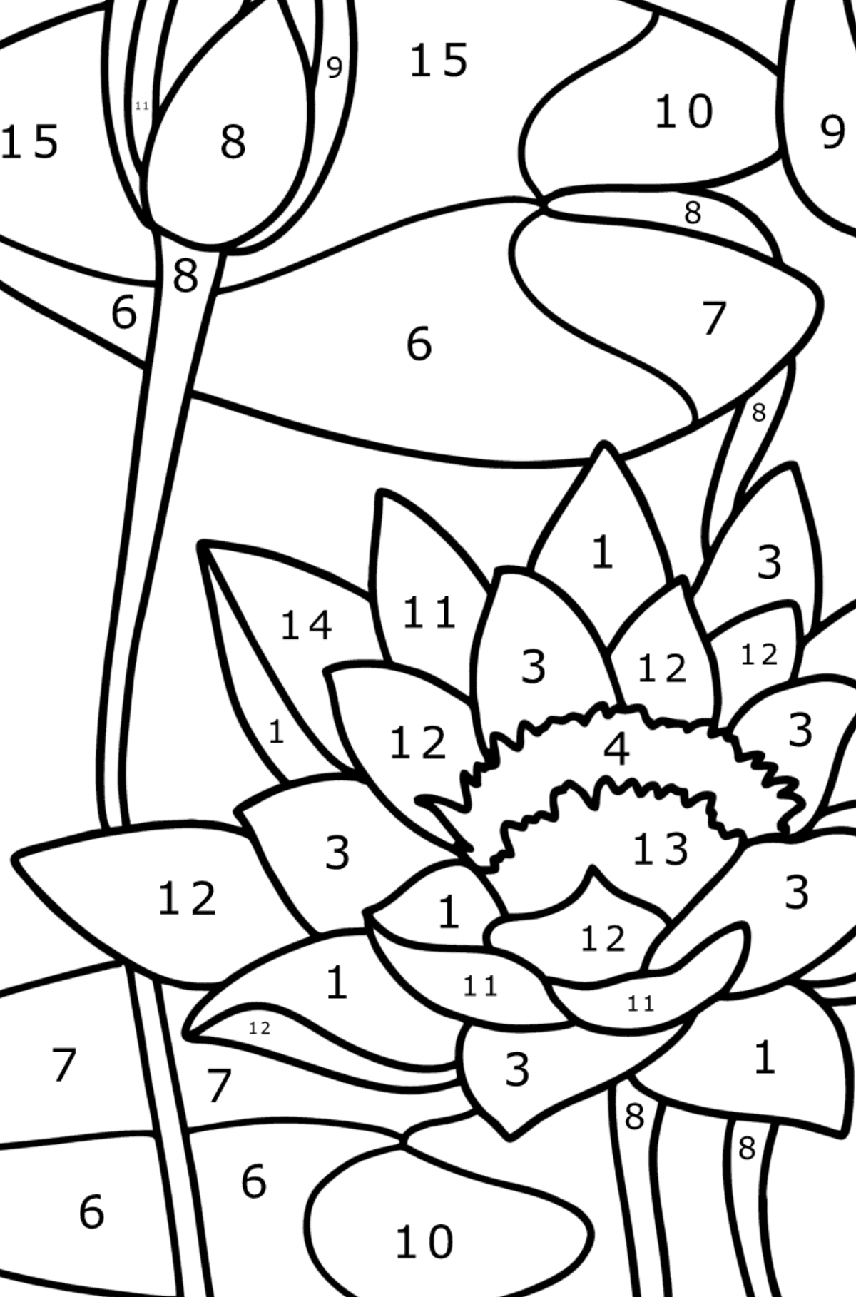 Water lily coloring page - Coloring by Numbers for Kids