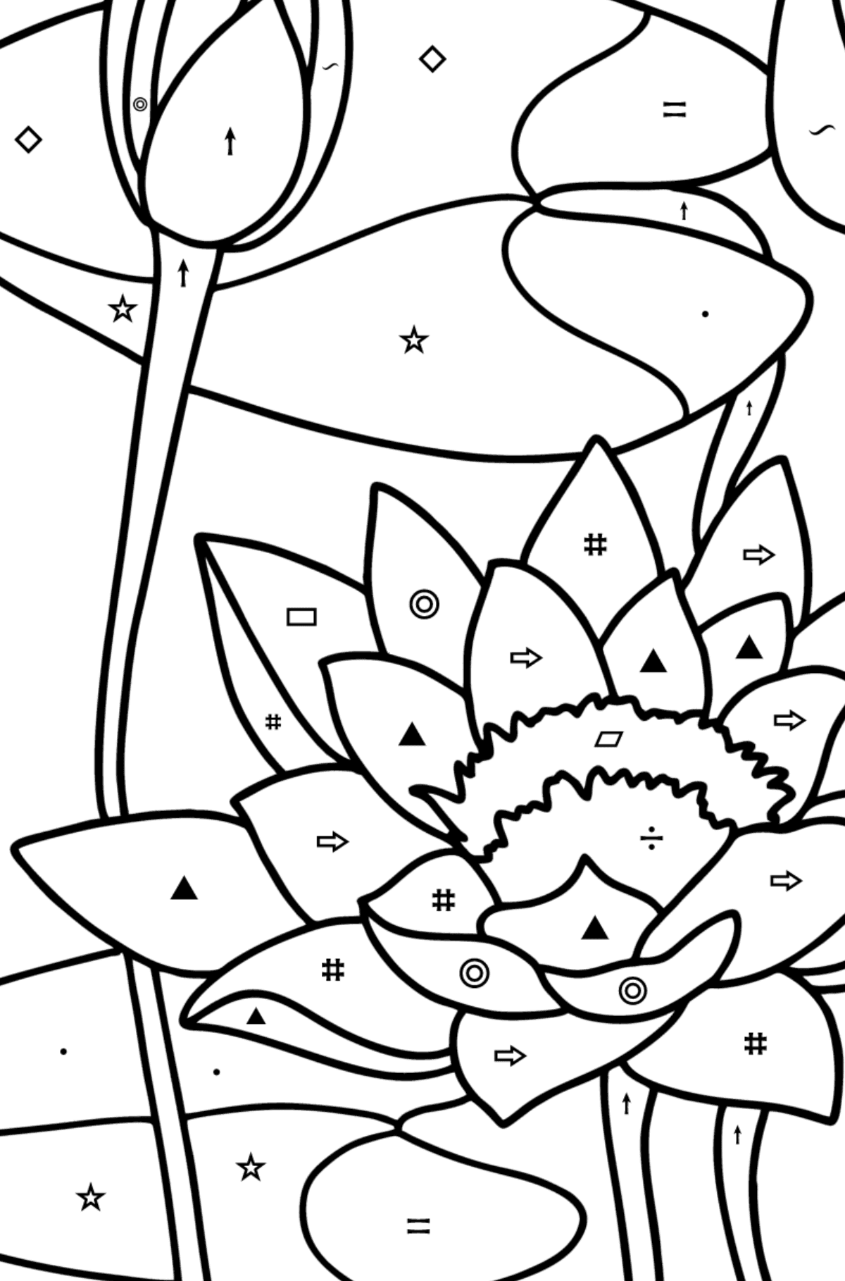 Water lily coloring page - Coloring by Symbols and Geometric Shapes for Kids