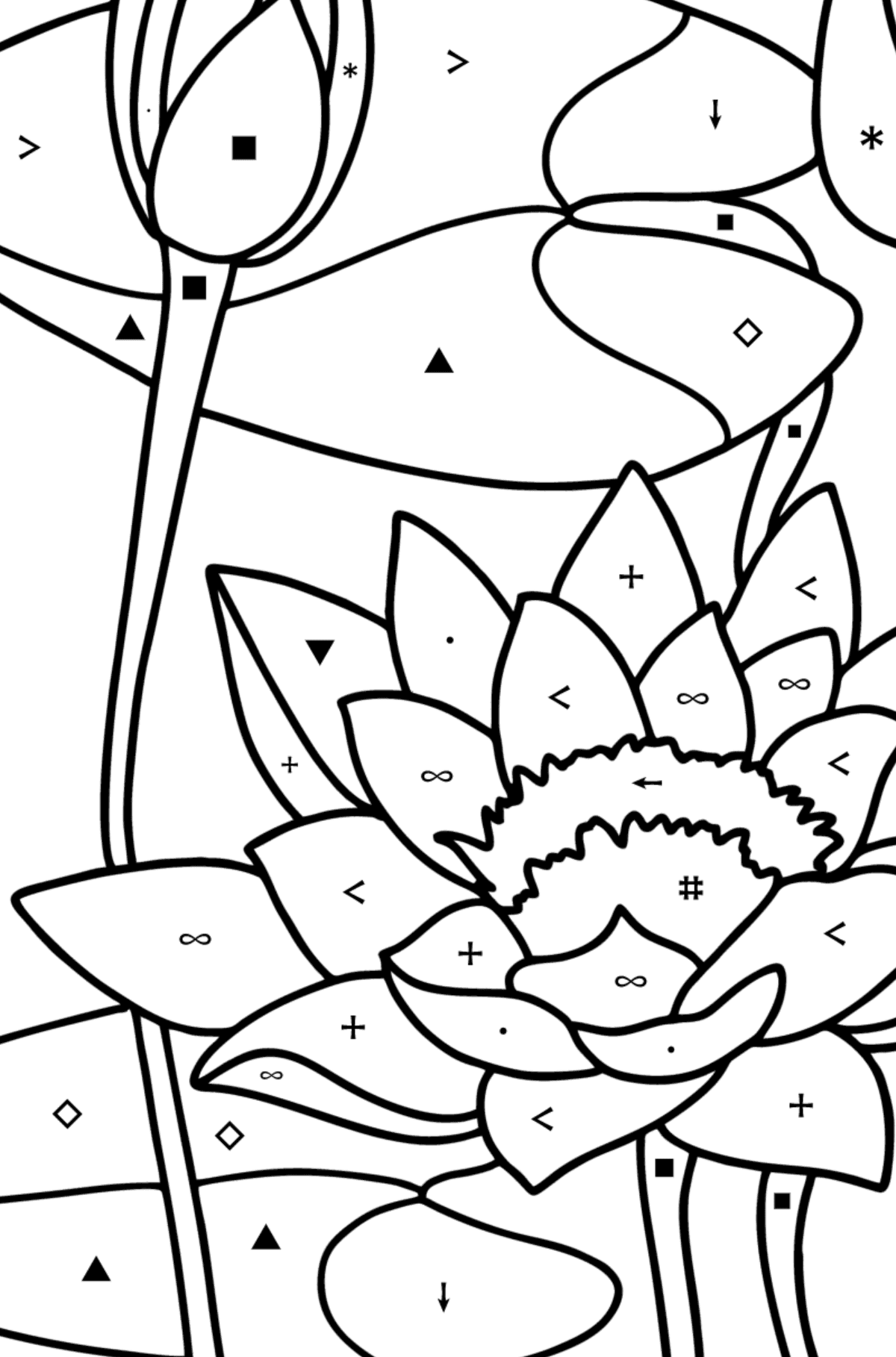 Water lily coloring page - Coloring by Symbols for Kids
