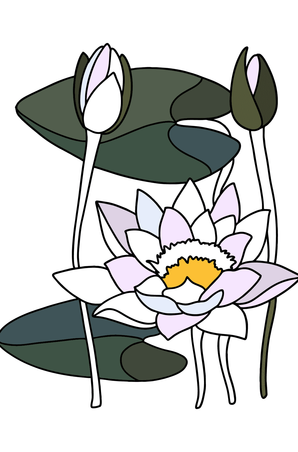 Water lily coloring page - Coloring Pages for Kids