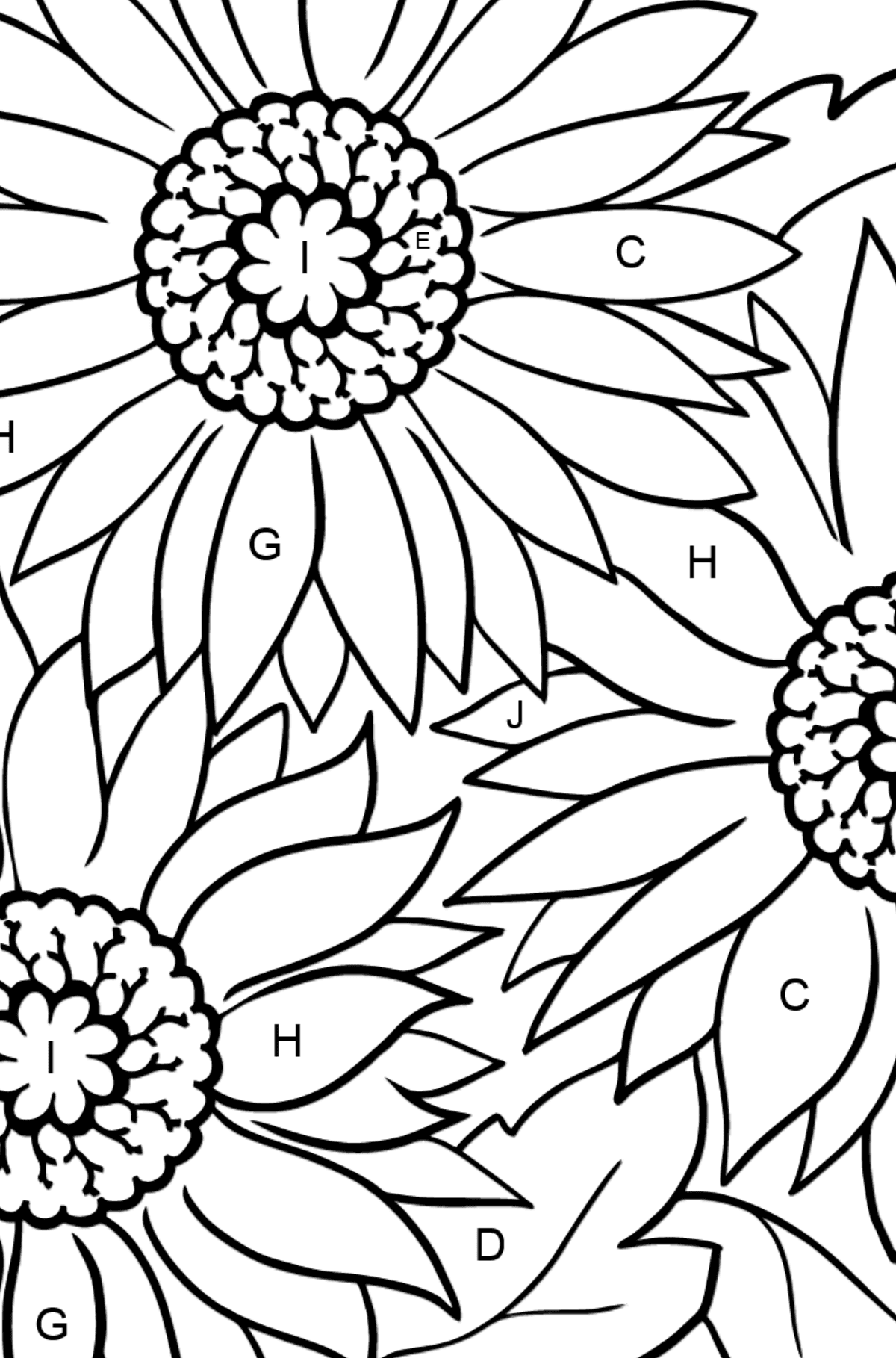 Coloring Page - Yellow Gerbera - Coloring by Letters for Kids