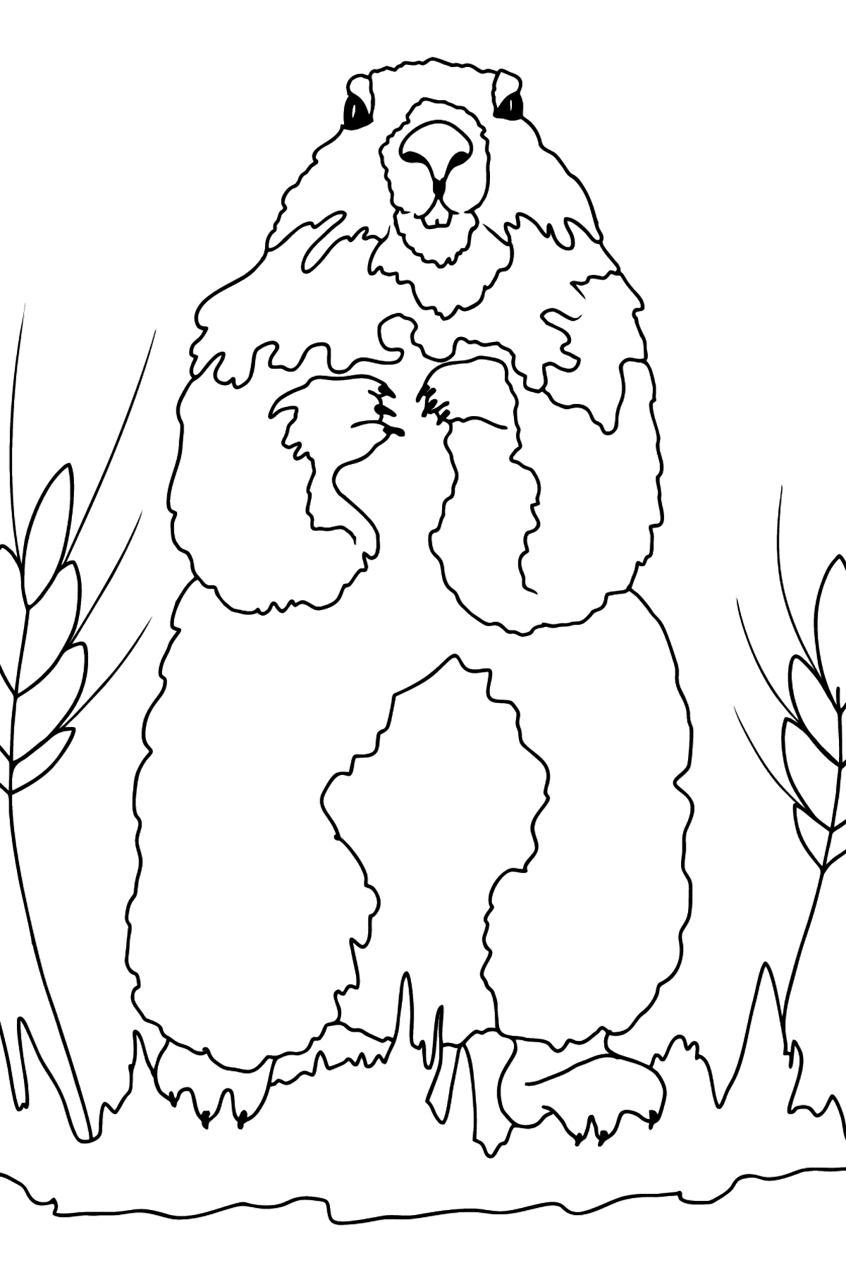 Coloring Page - A Groundhog is Looking Around - Coloring Pages for Kids