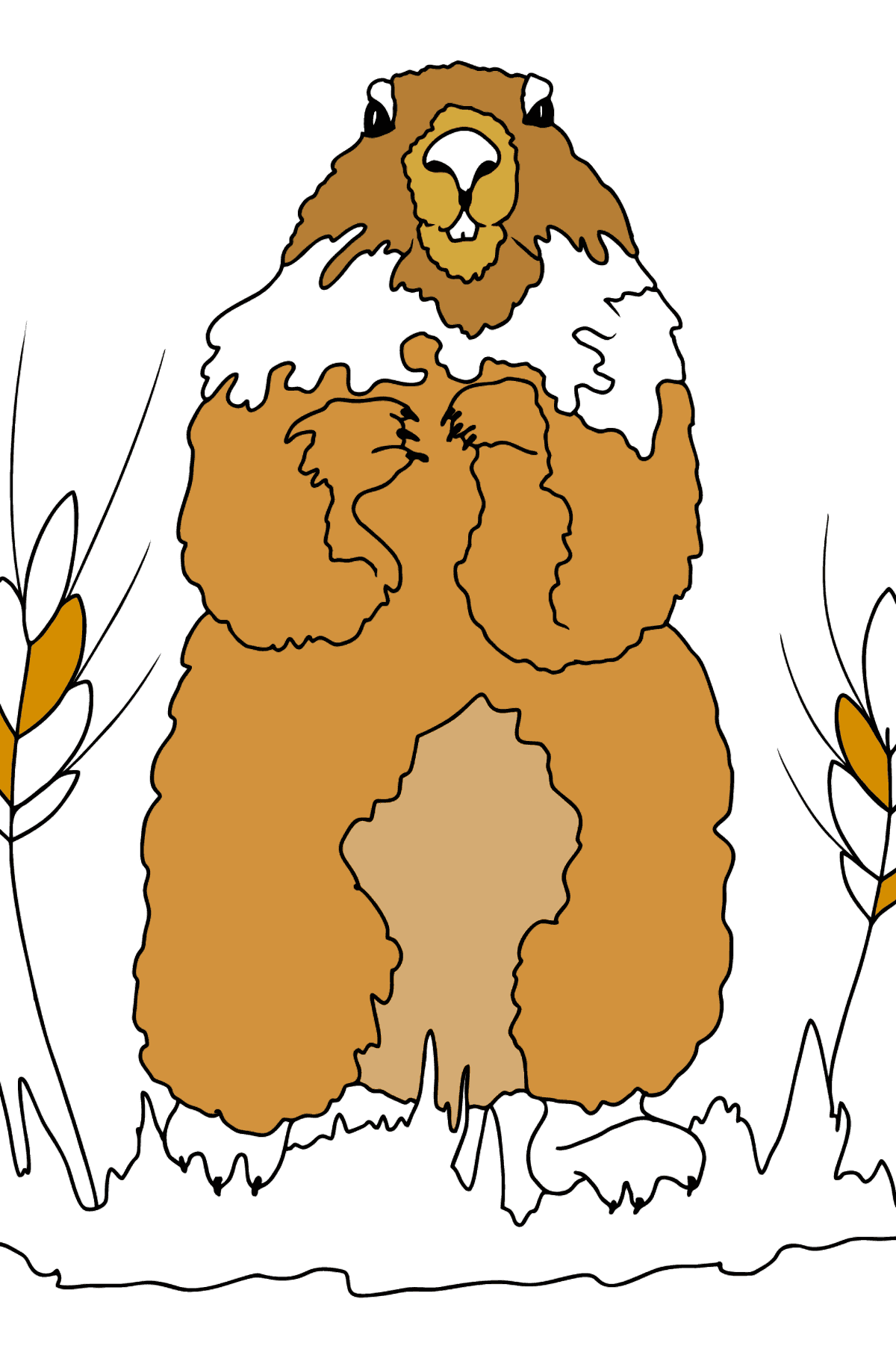 Coloring Page - A Groundhog is Looking Around - Coloring Pages for Kids