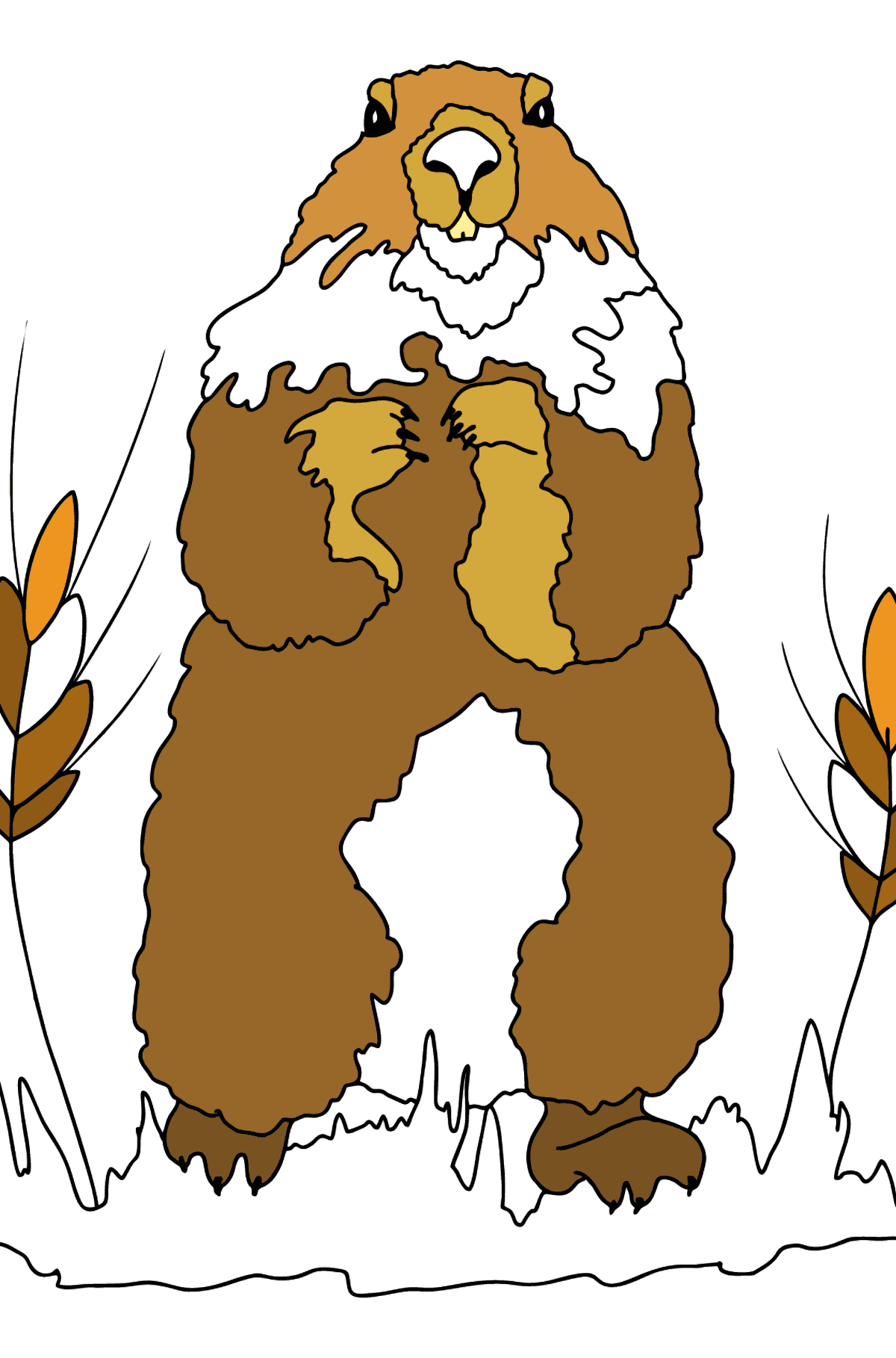 Раскраска Сурок (сложно) - Картинки для Детей