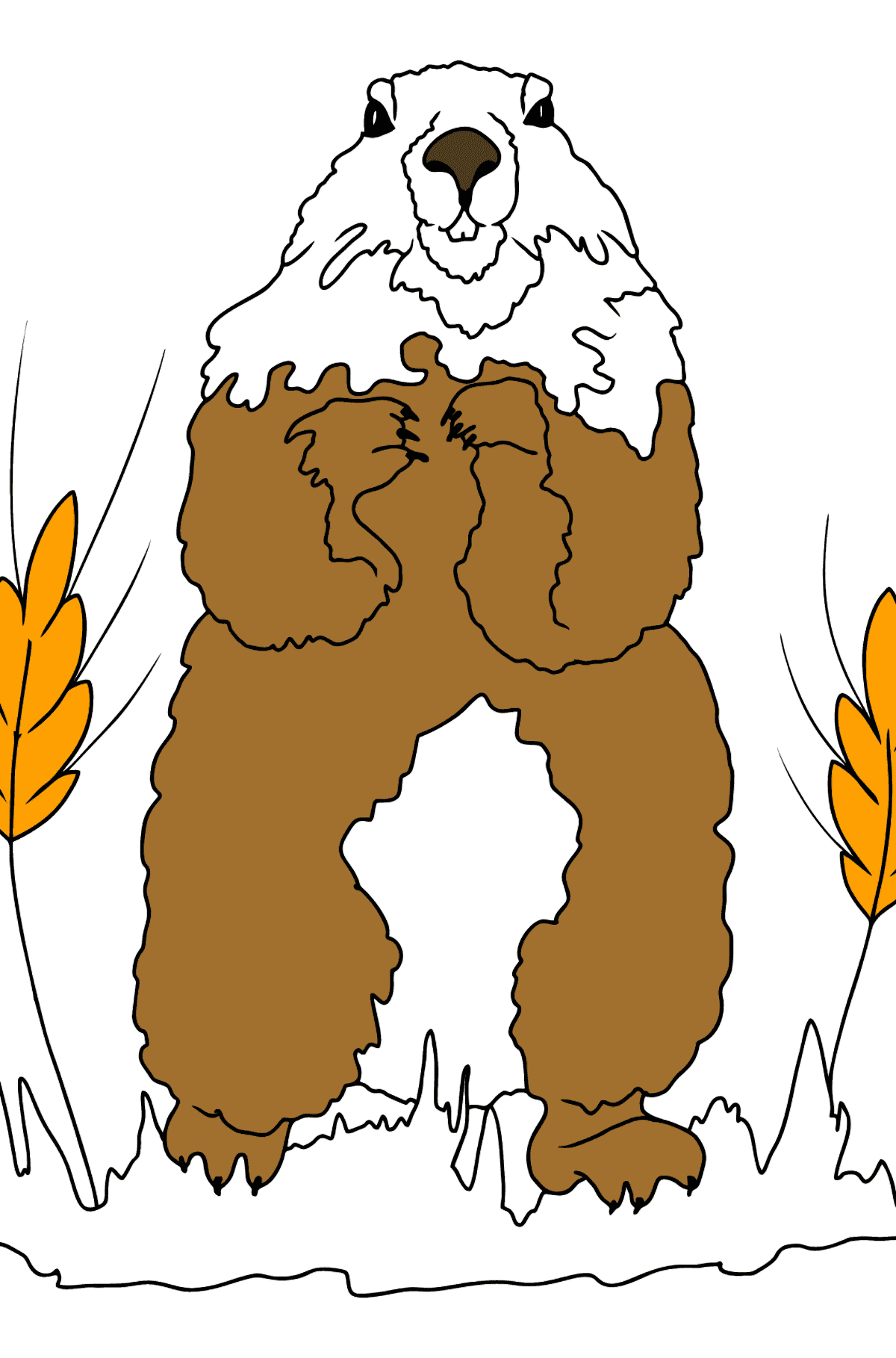 Раскраска Сурок (просто) - Картинки для Детей