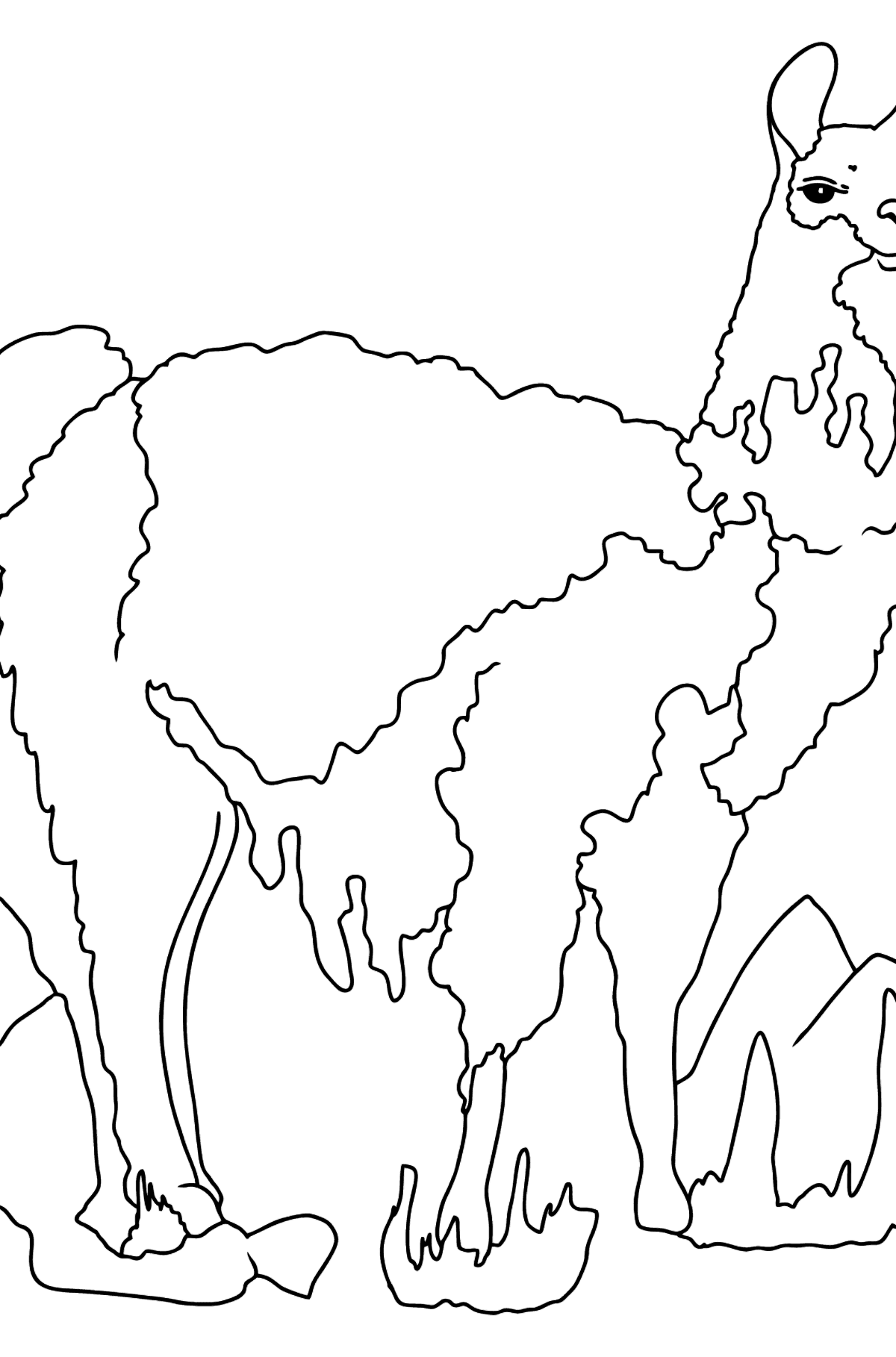 Tegning til farvning smukke lama - Tegninger til farvelægning for børn