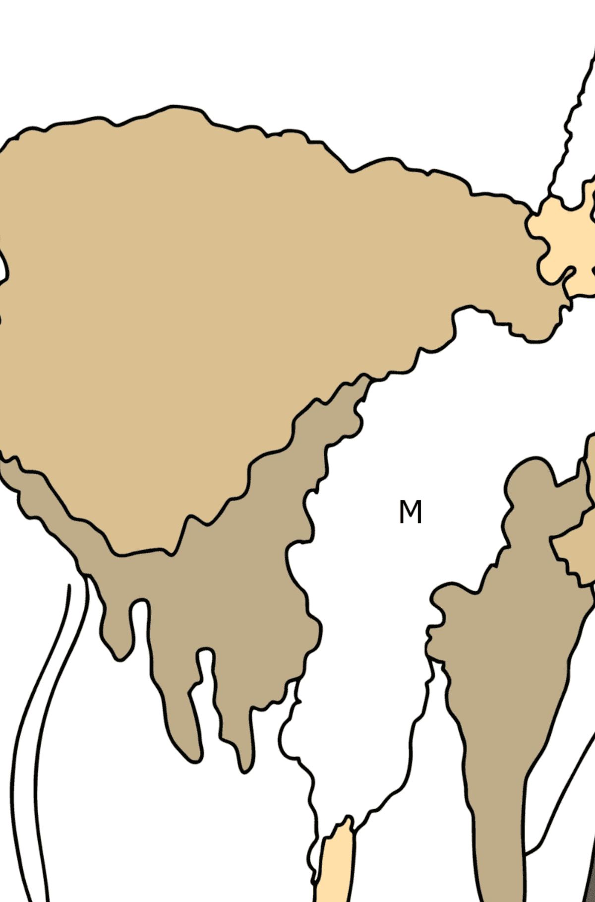 Kolorowanka Piękna lama - Kolorowanki wedlug liter dla dzieci