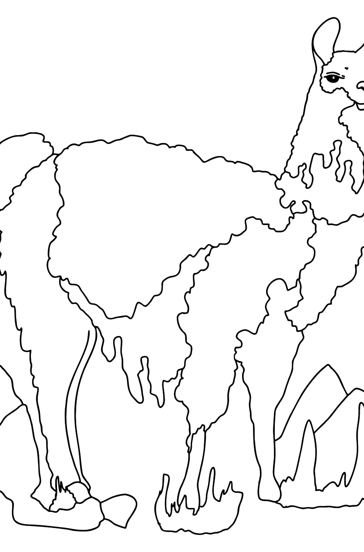 Coloring Page - A Lama is Looking Haughtily - Coloring Pages for Kids
