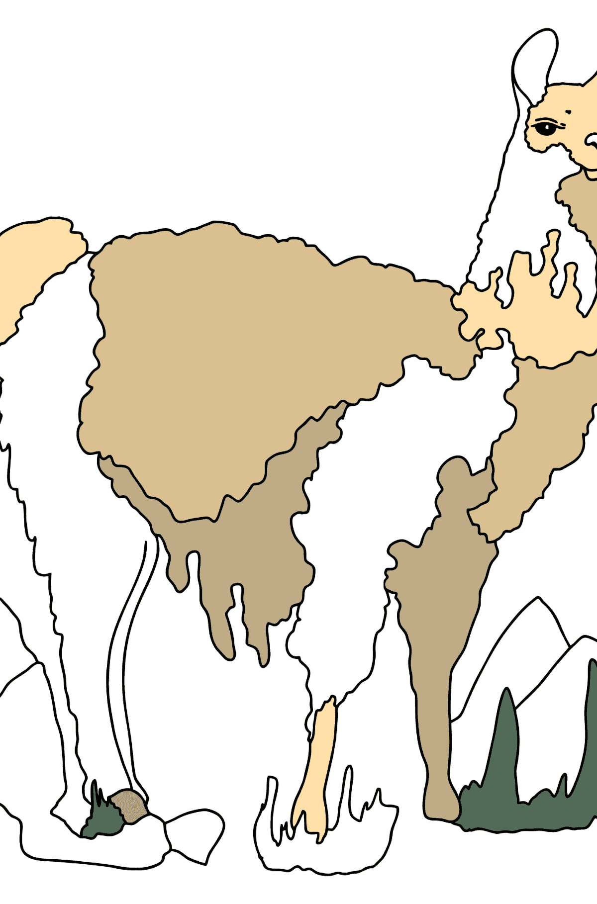 Coloriage - Un lama regarde avec haudeur - Coloriages pour les Enfants