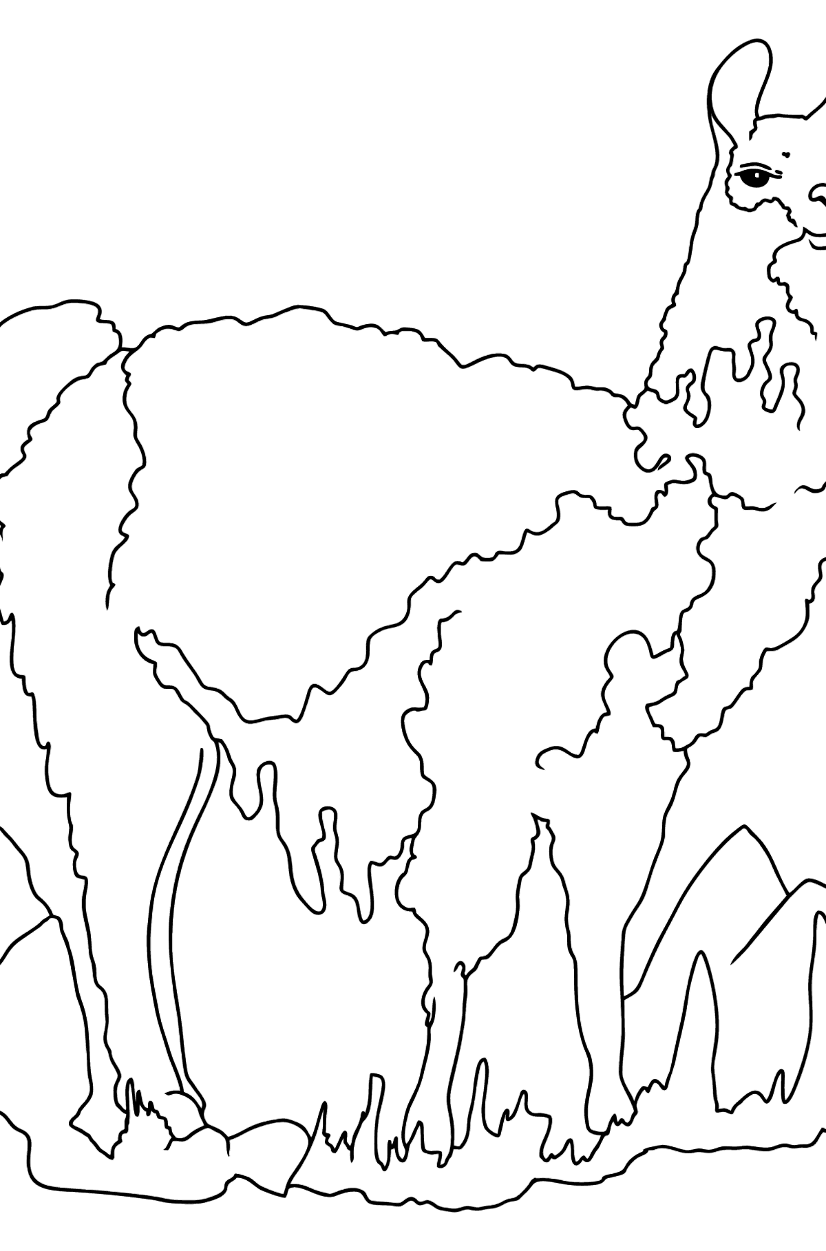 Tegning til farvning smuk lama (let) - Tegninger til farvelægning for børn