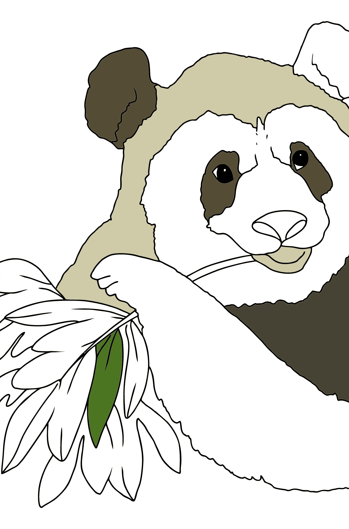 Dibujo para Colorear - Un Panda Comiendo Hojas de Bambú - Colorear para Niños