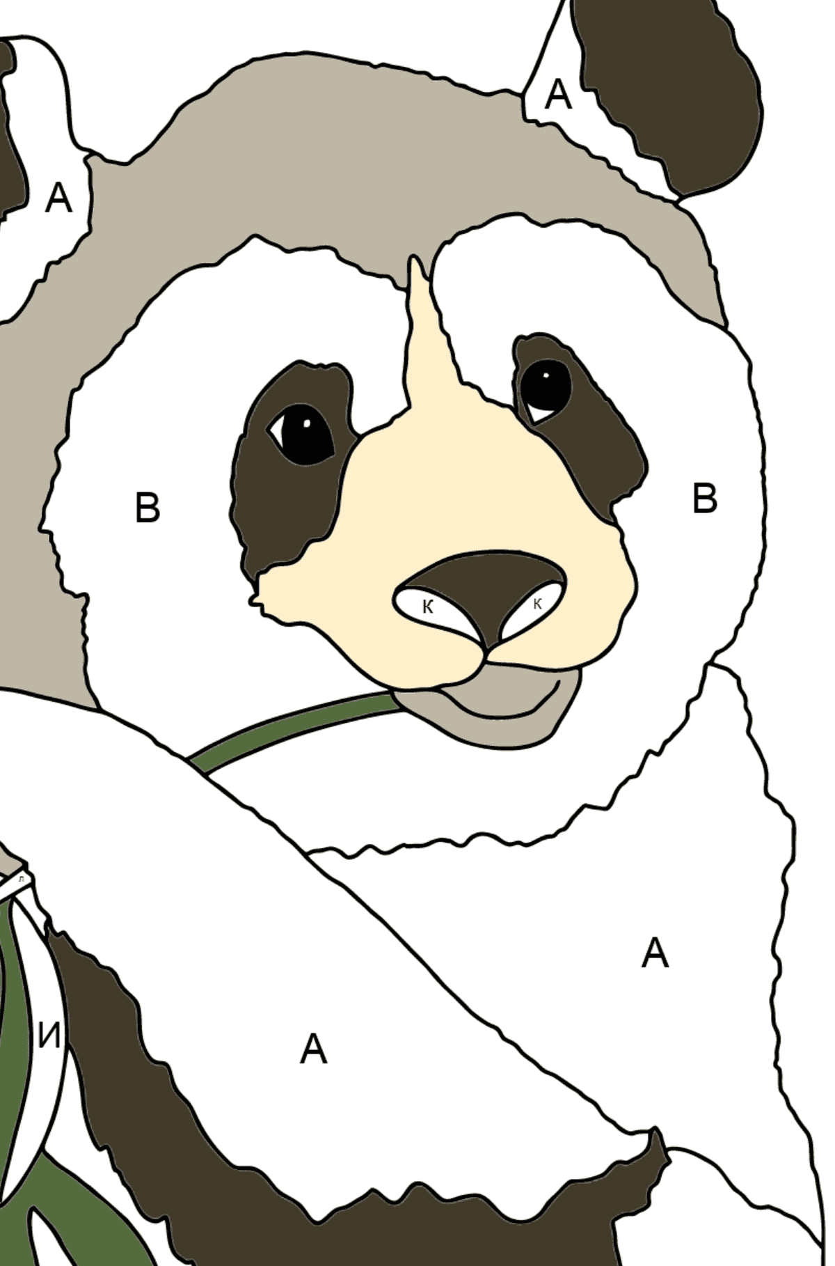 Раскраска красивая панда (сложно) - По Буквам для Детей