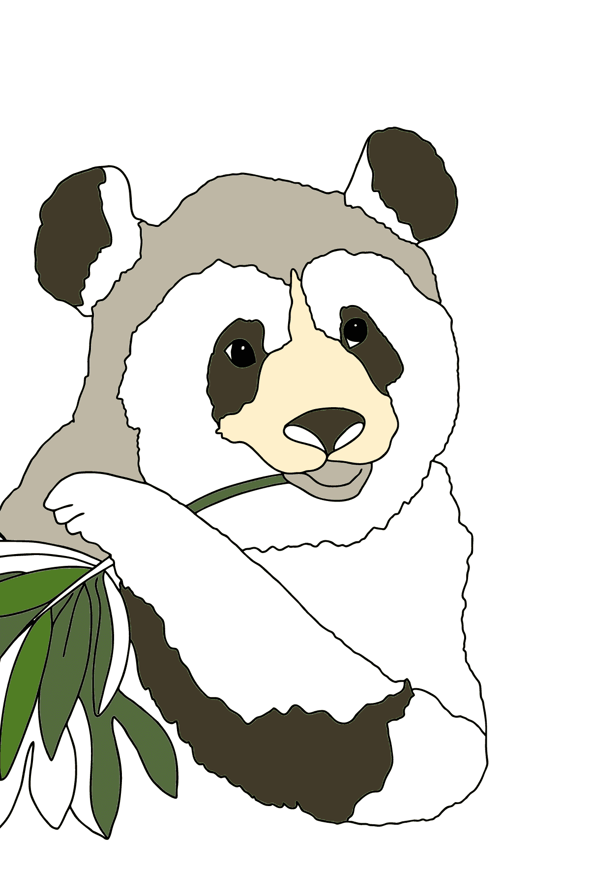 Coloring Page - A Panda is Eating Bamboo Stems and Leaves - Coloring Pages for Children