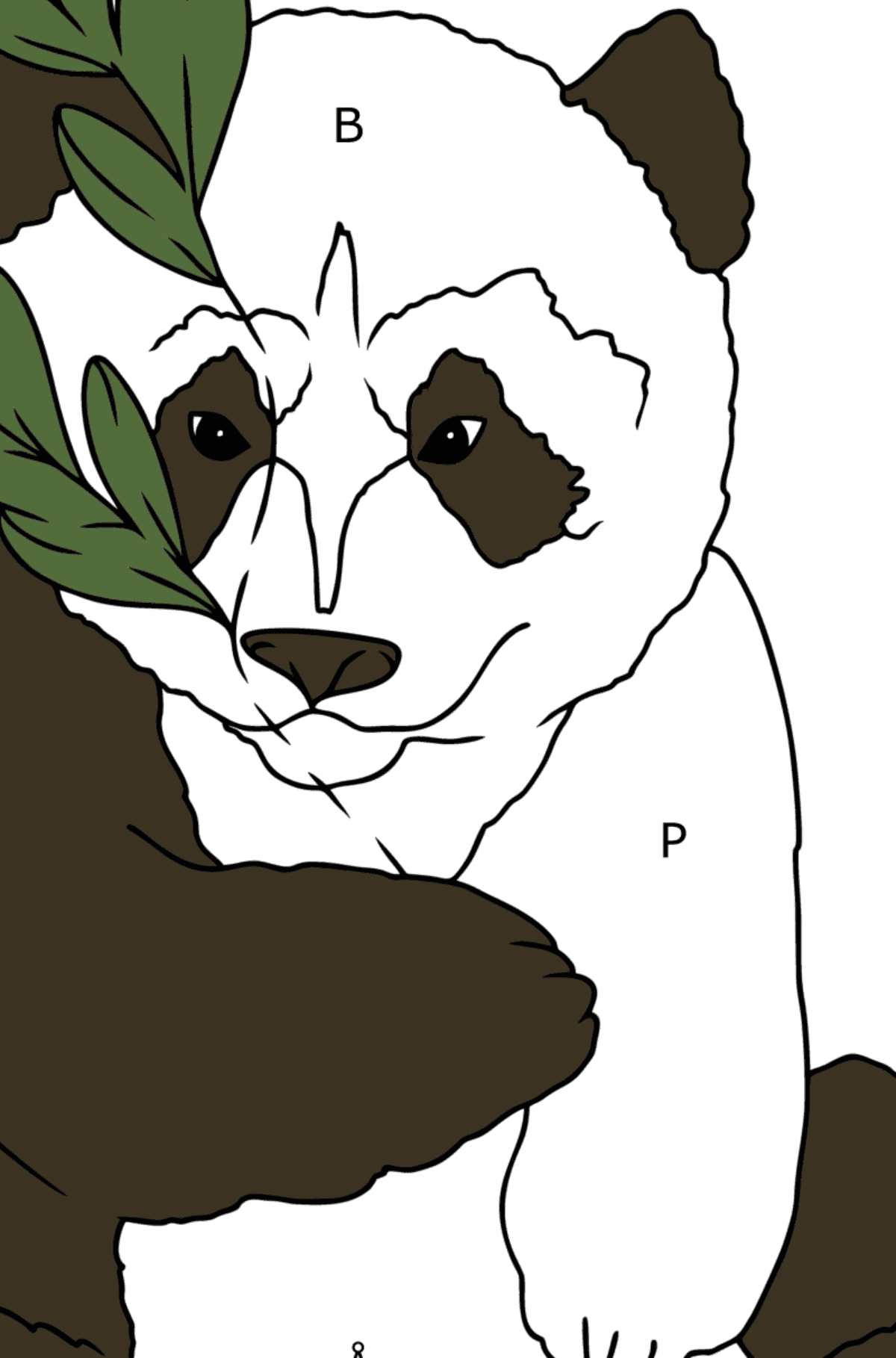 Tegning til farvning charmerende panda (let) - Farvelægning af brevene for børn