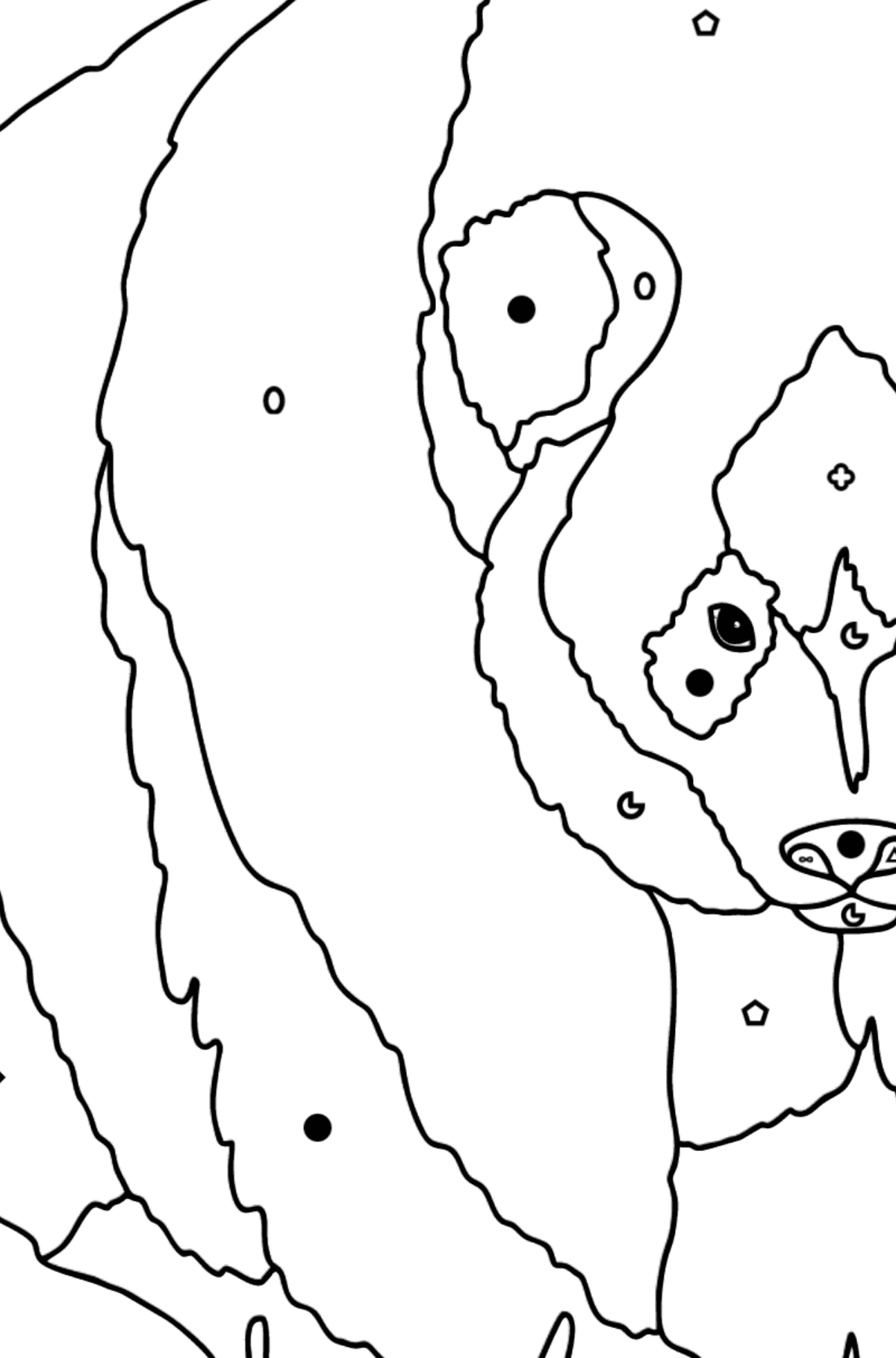 Coloring Page - A Panda is on a Hunt - Coloring by Symbols and Geometric Shapes for Kids