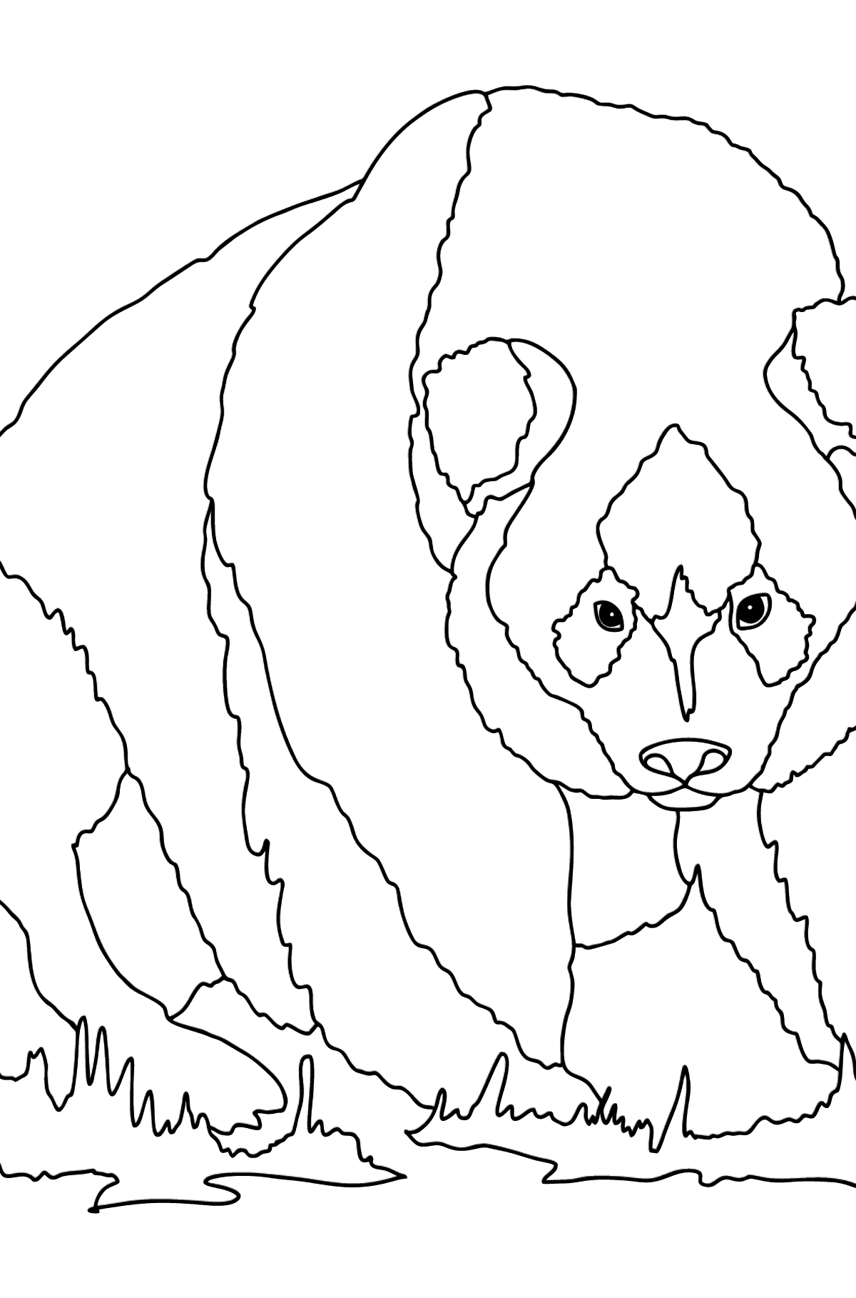 Dibujo para Colorear - Un Panda está de Caza - Dibujos para Colorear para Niños