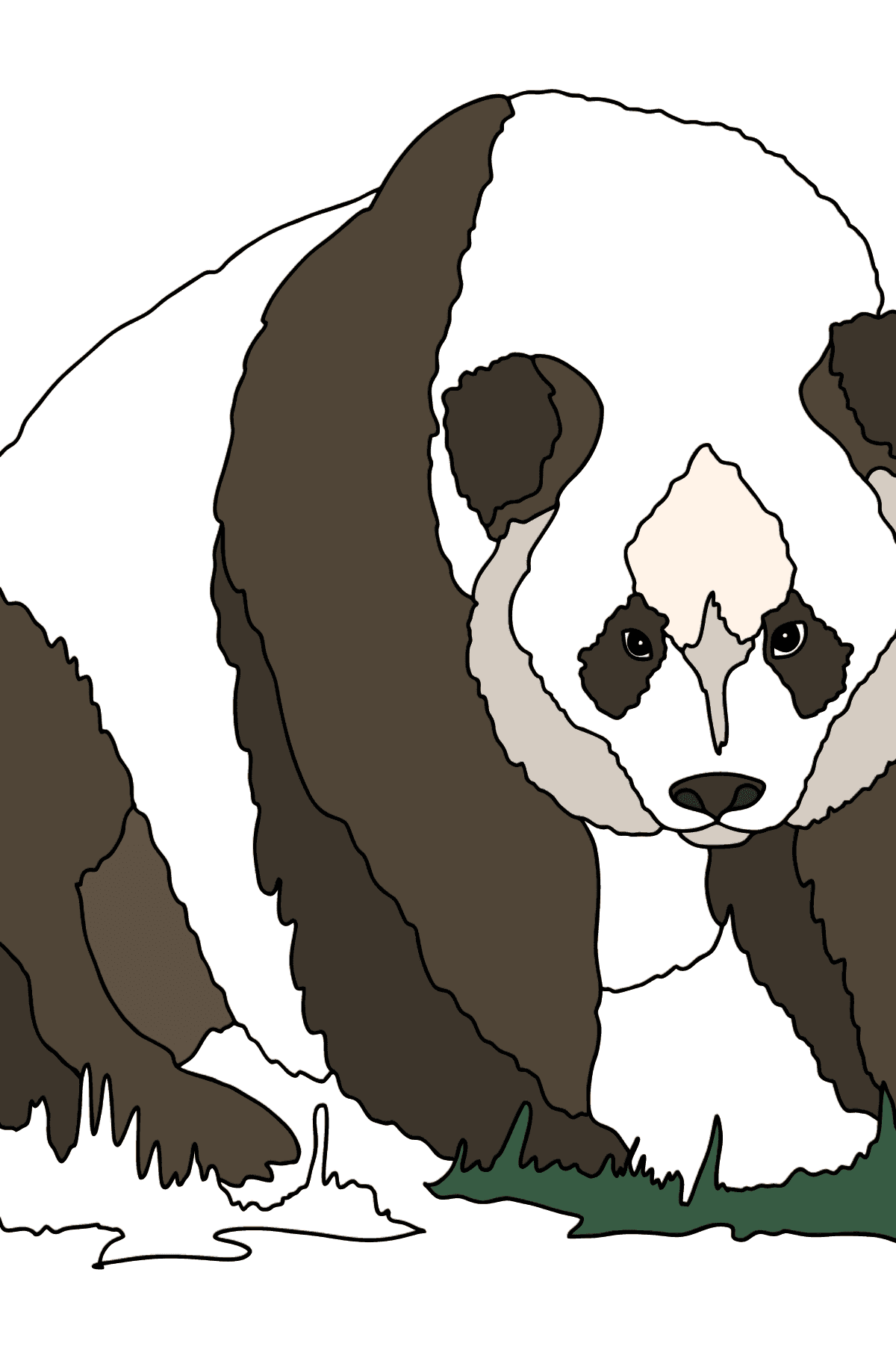 Милая панда раскраска (сложно) - Картинки для Детей