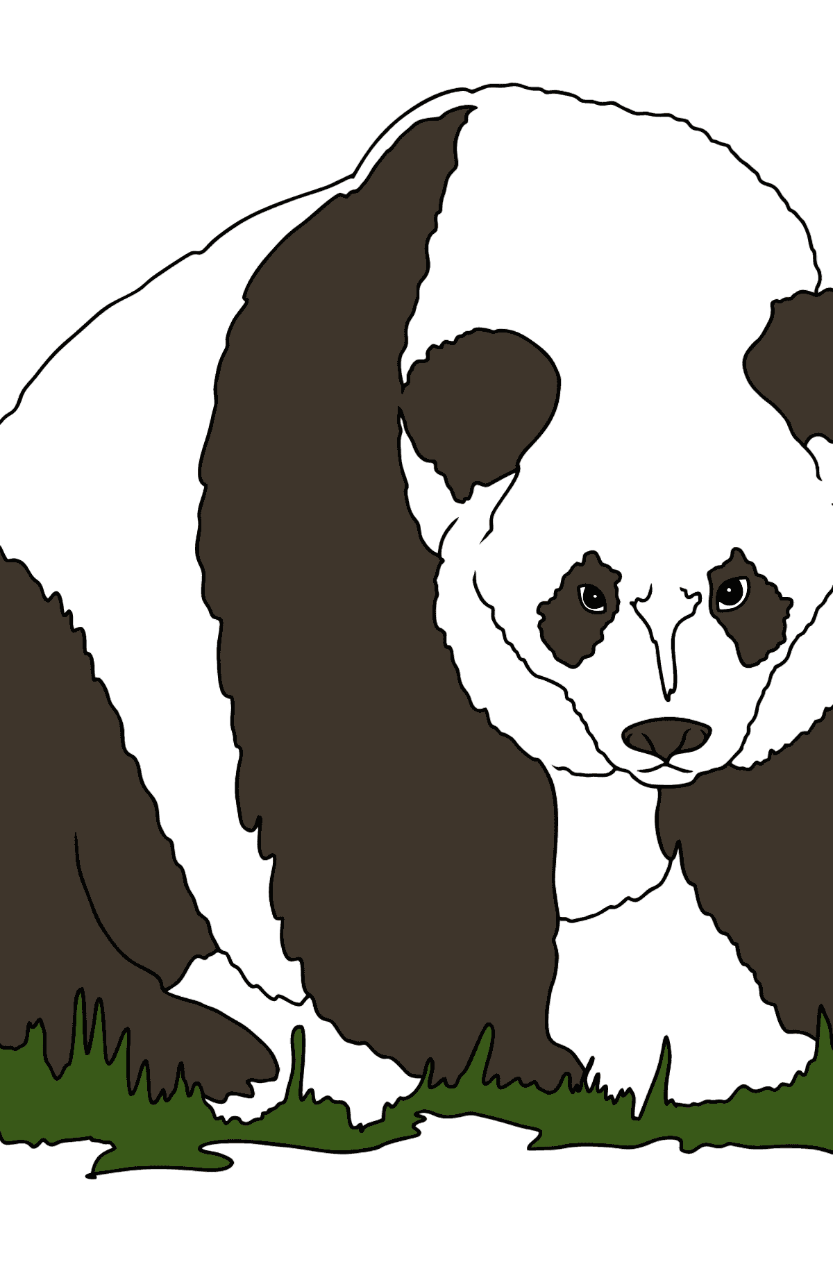 Ausmalbild - Ein Panda steht - Malvorlagen für Kinder