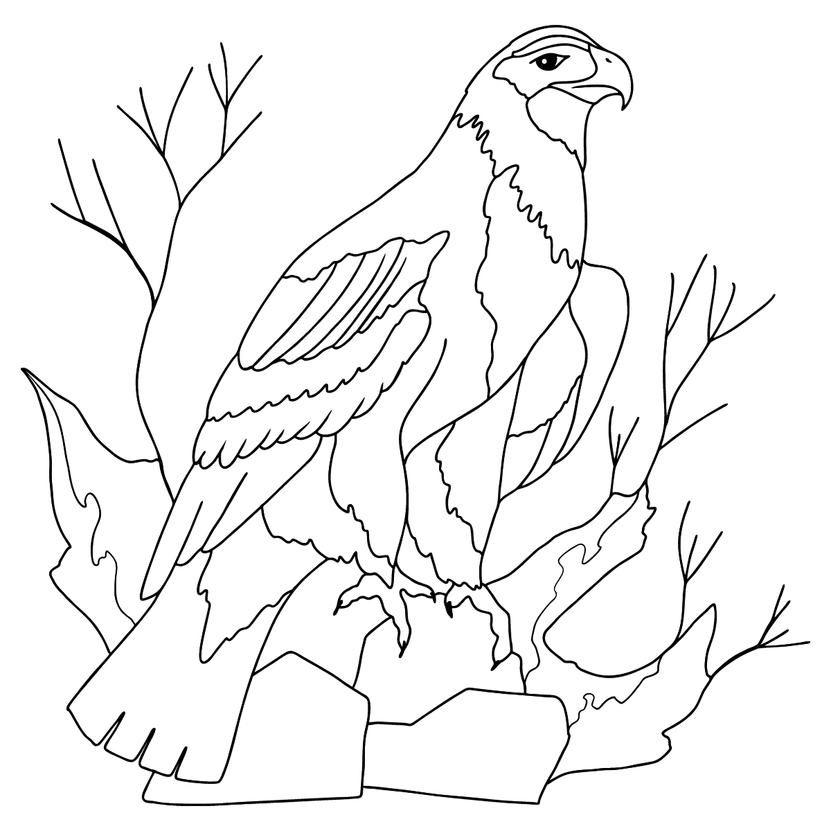 Раскраска орла сложный