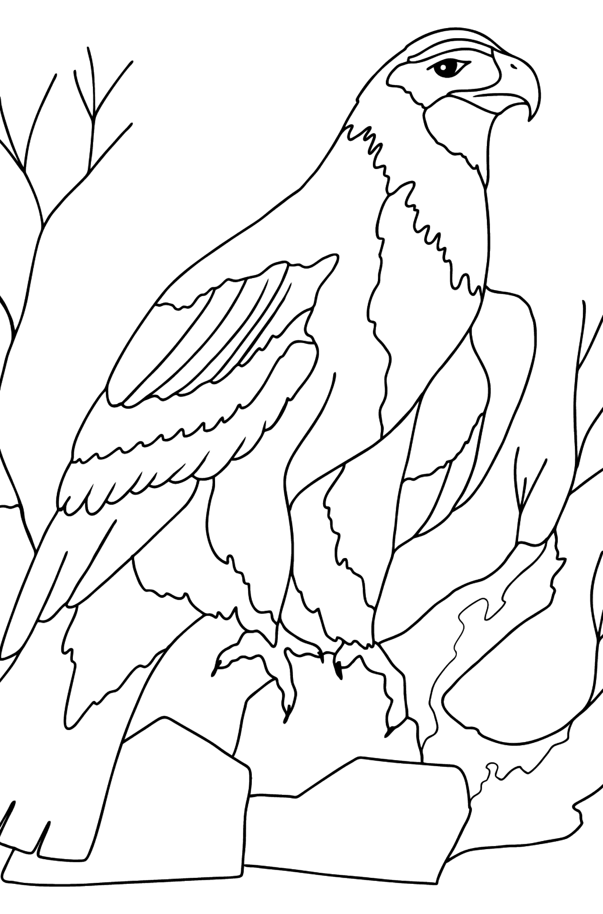 Dibujo para Colorear - Un águila está Buscando una Presa - Dibujos para Colorear para Niños
