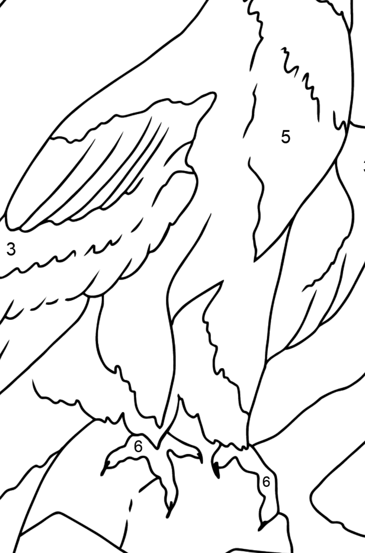 Ausmalbild - Ein Adler ist auf der Jagd - Malen nach Zahlen für Kinder