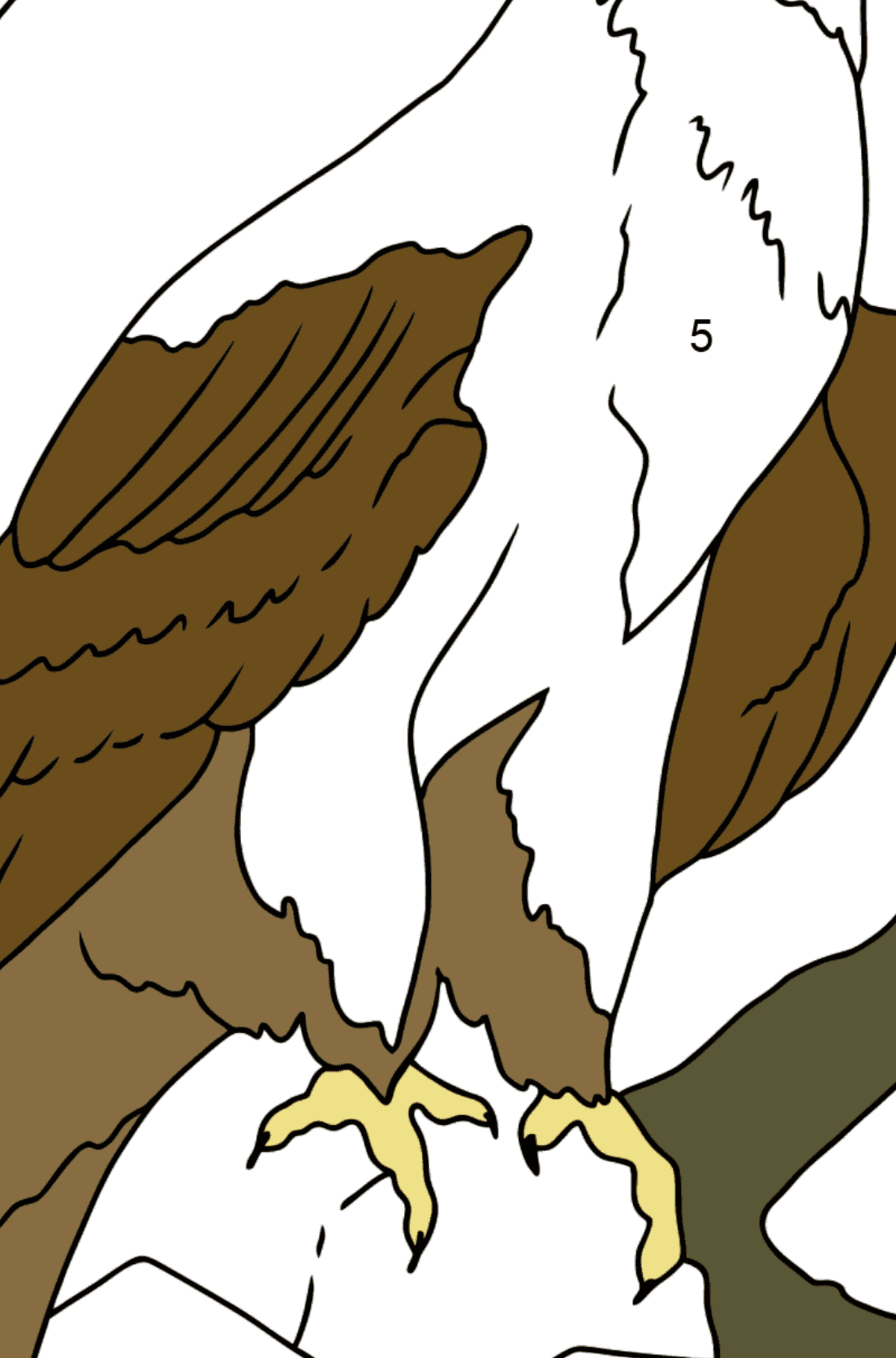 Desenho de águia alpina para colorir (fácil) - Colorir por Números para Crianças