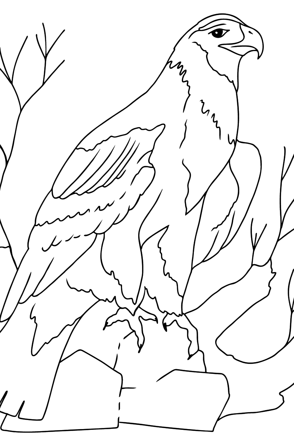Coloring Page - An Eagle is on the Hunt - Coloring Pages for Kids
