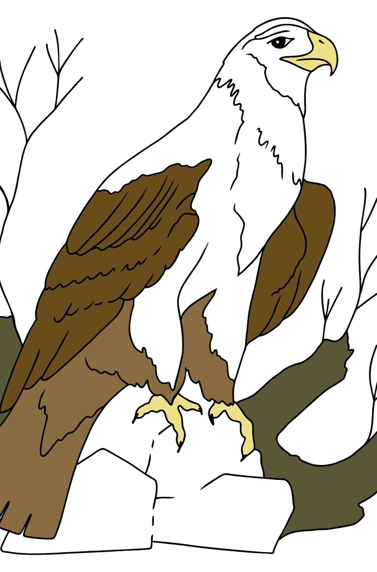 Ausmalbild - Ein Adler ist auf der Jagd - Malvorlagen für Kinder