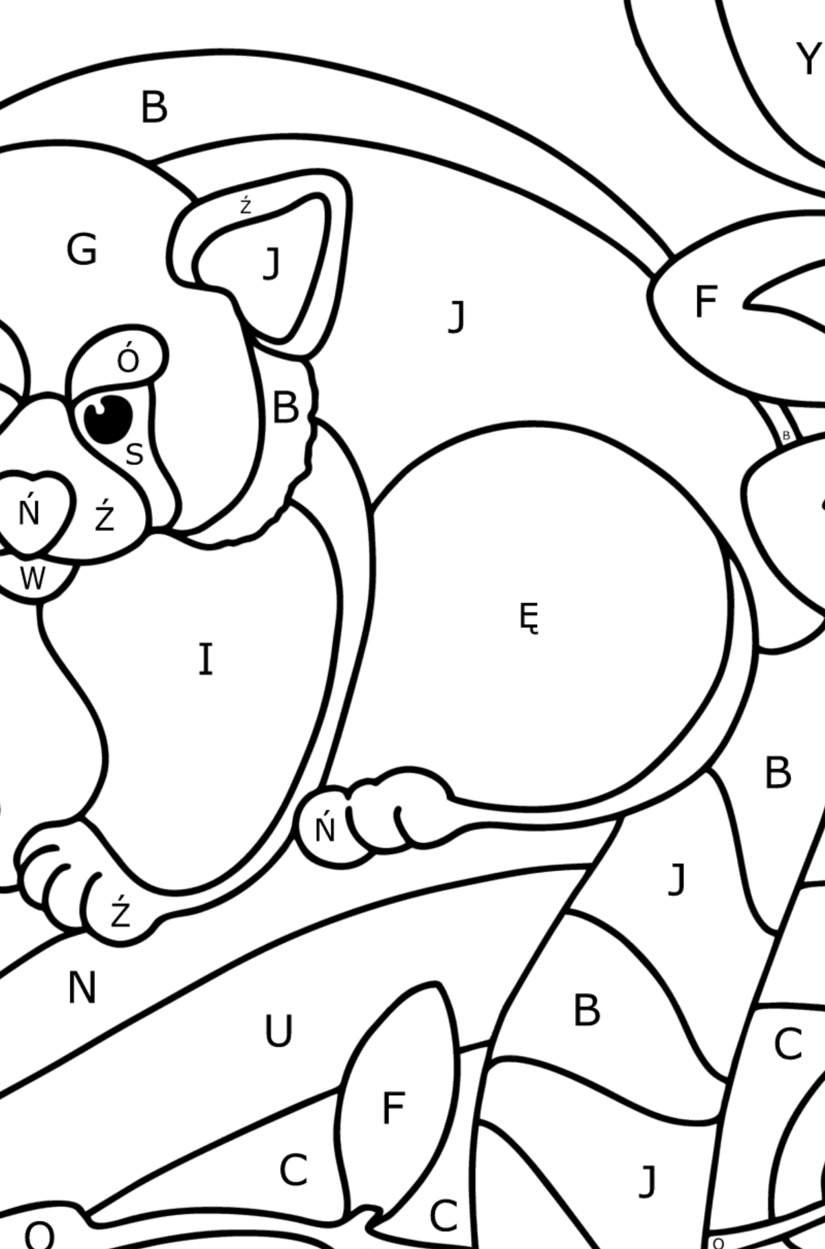 Kolorowanka czerwona panda - Kolorowanki wedlug liter dla dzieci