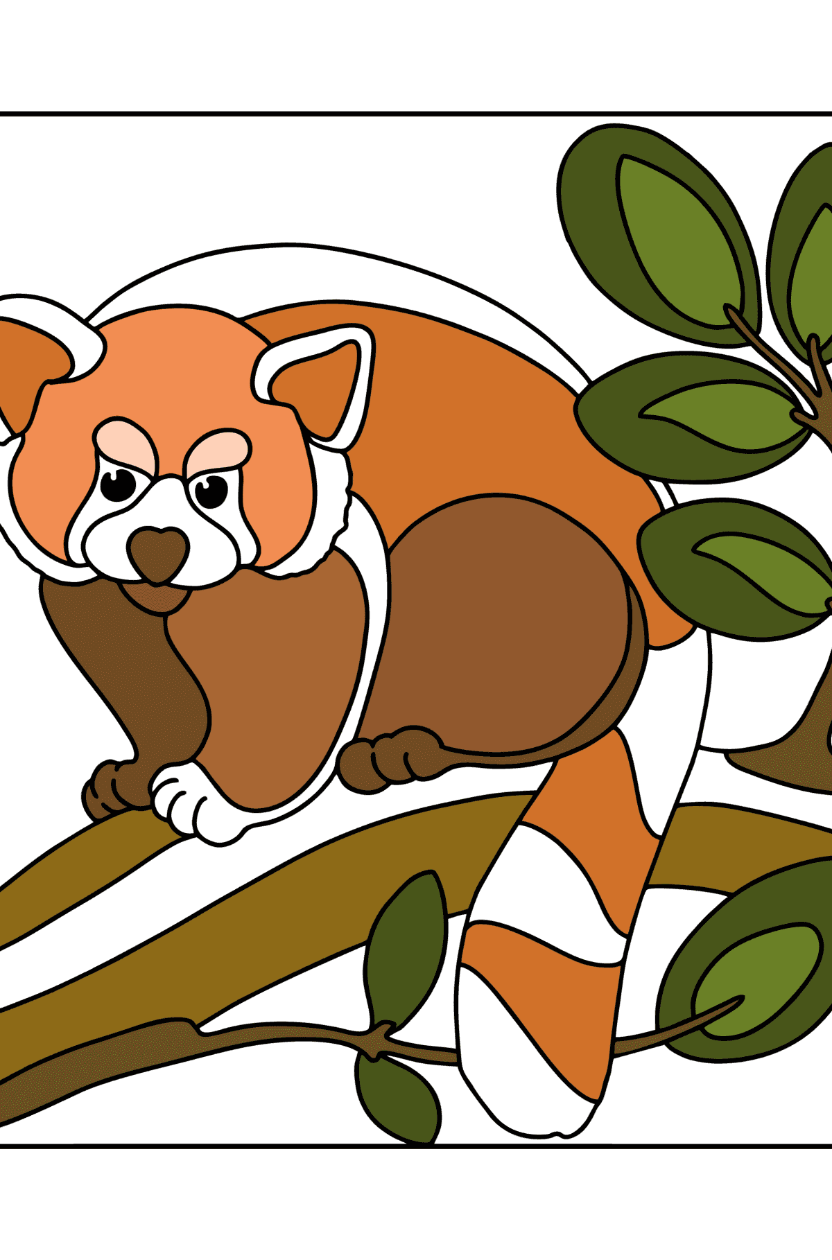 Ausmalbild roter Panda - Malvorlagen für Kinder
