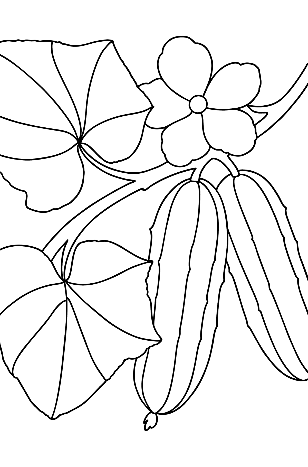 Cucumber grows сoloring page - Coloring Pages for Kids