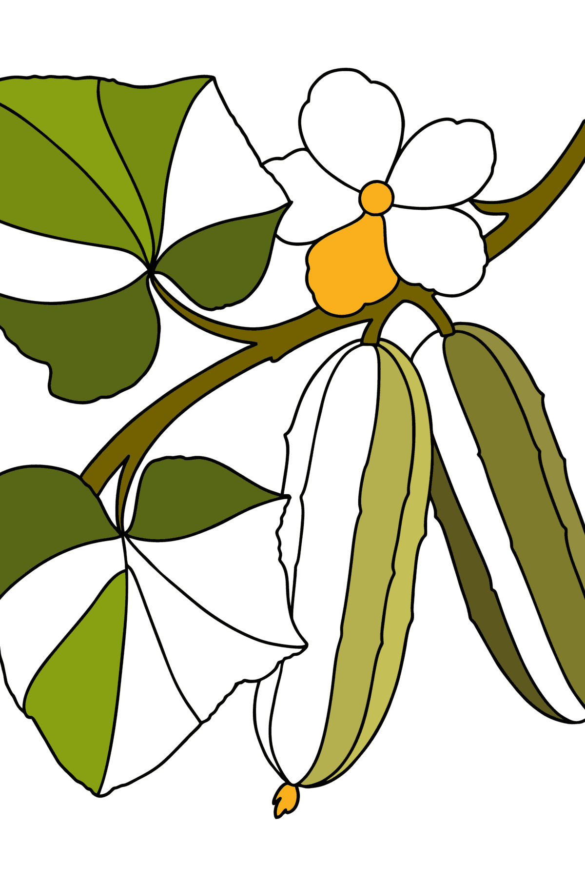 Desenho O pepino cresce para colorir - Imagens para Colorir para Crianças