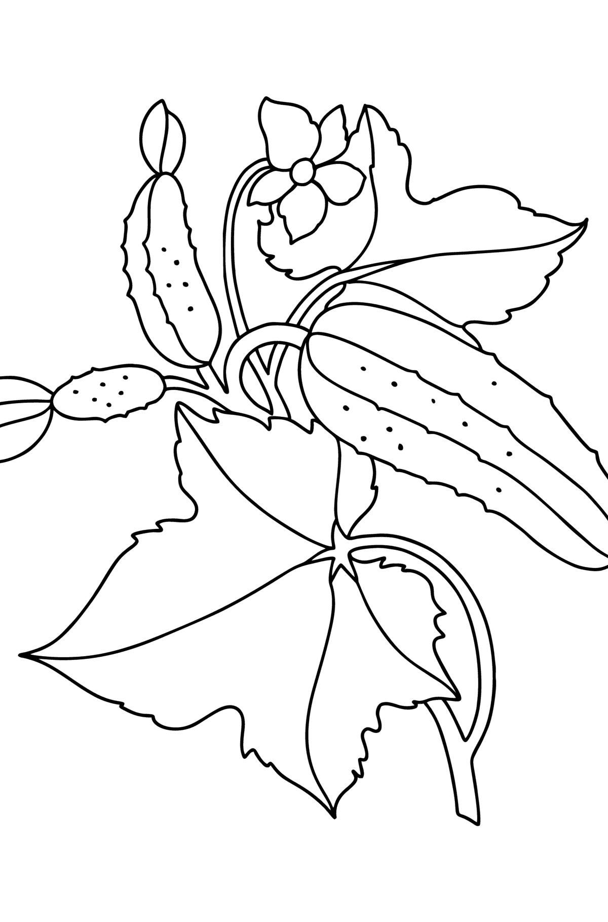 Cucumbers on a branch сoloring page - Coloring Pages for Kids