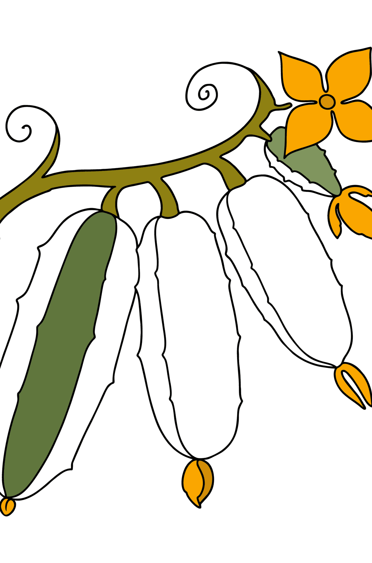 Cucumbers сoloring page - Coloring Pages for Kids