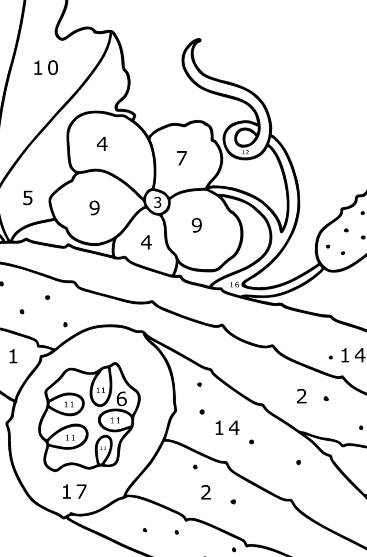 Desenho Pepinos saborosos para colorir - Colorir por Números para Crianças