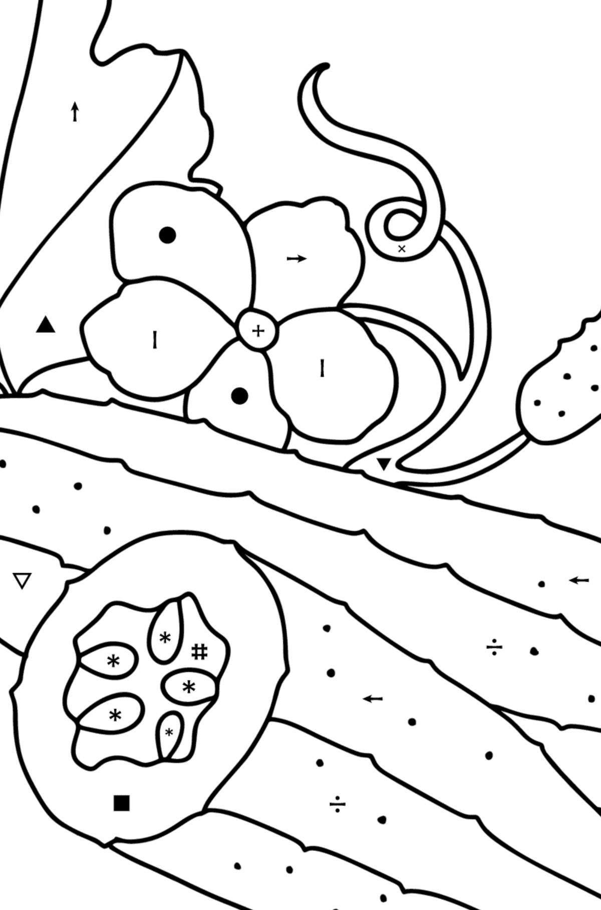 Desenho Pepinos saborosos para colorir - Colorir por Símbolos para Crianças
