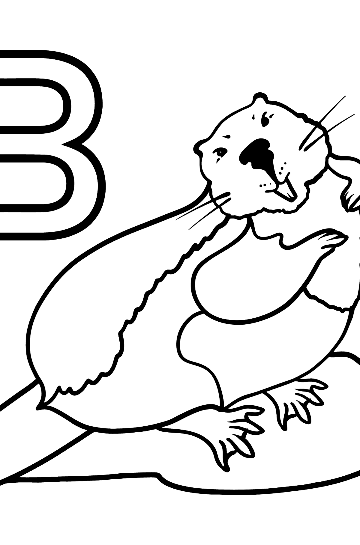 Раскраска Буква B для печати Английский алфавит - BEAVER - Картинки для Детей