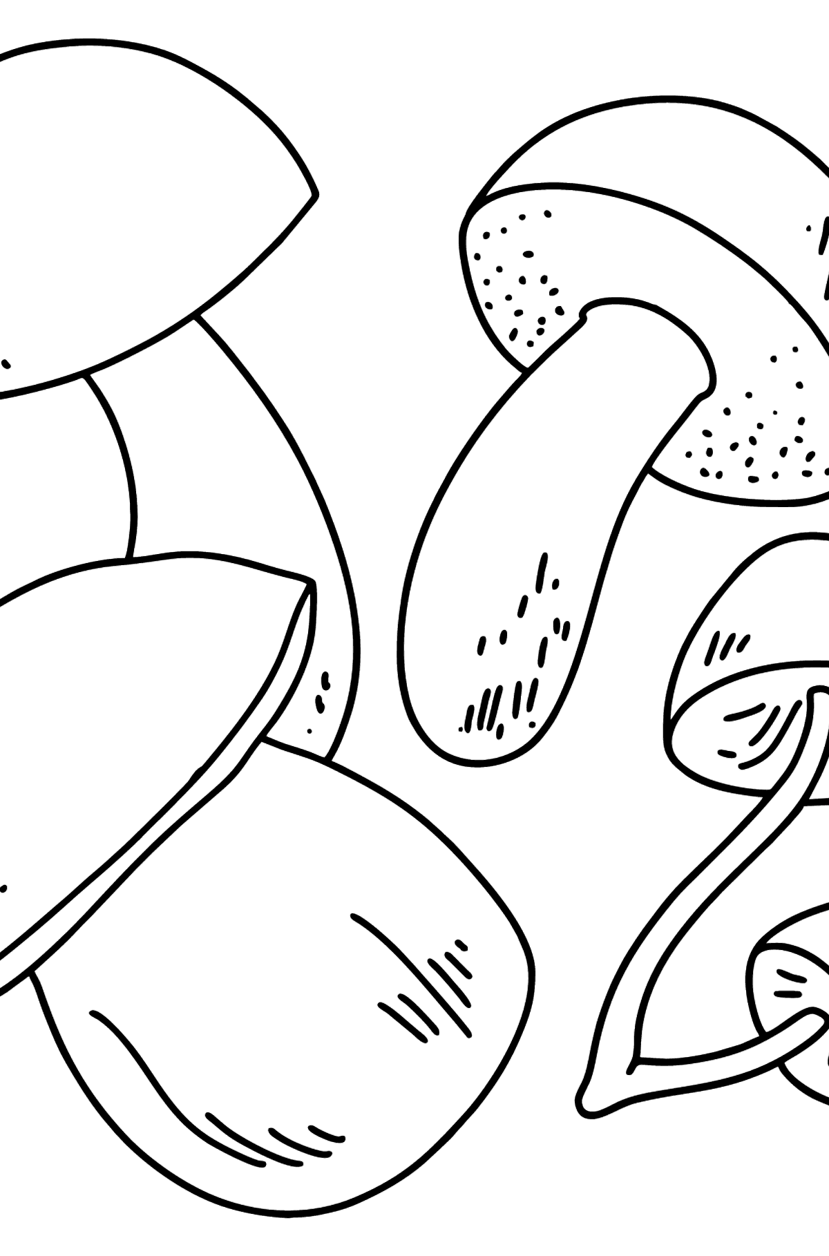 Desen de colorat ciuperci: alb, boletus, agaric miere. - Desene de colorat pentru copii