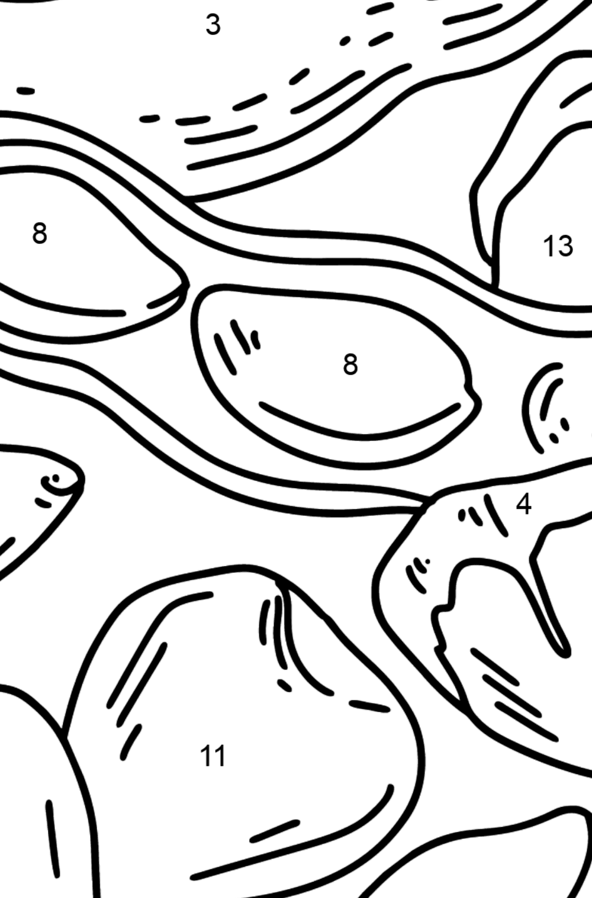 Desenho para colorir de Nozes - Amendoins e Avelãs - Colorir por Números para Crianças