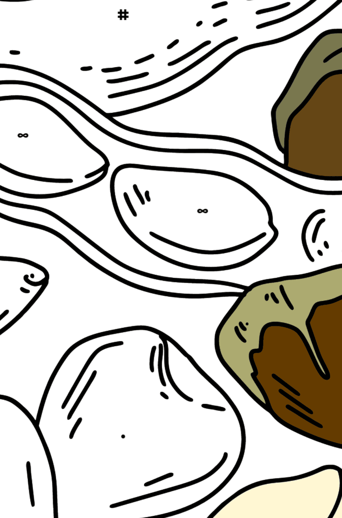 Раскраска орехи - арахис и фундук - По Символам для Детей