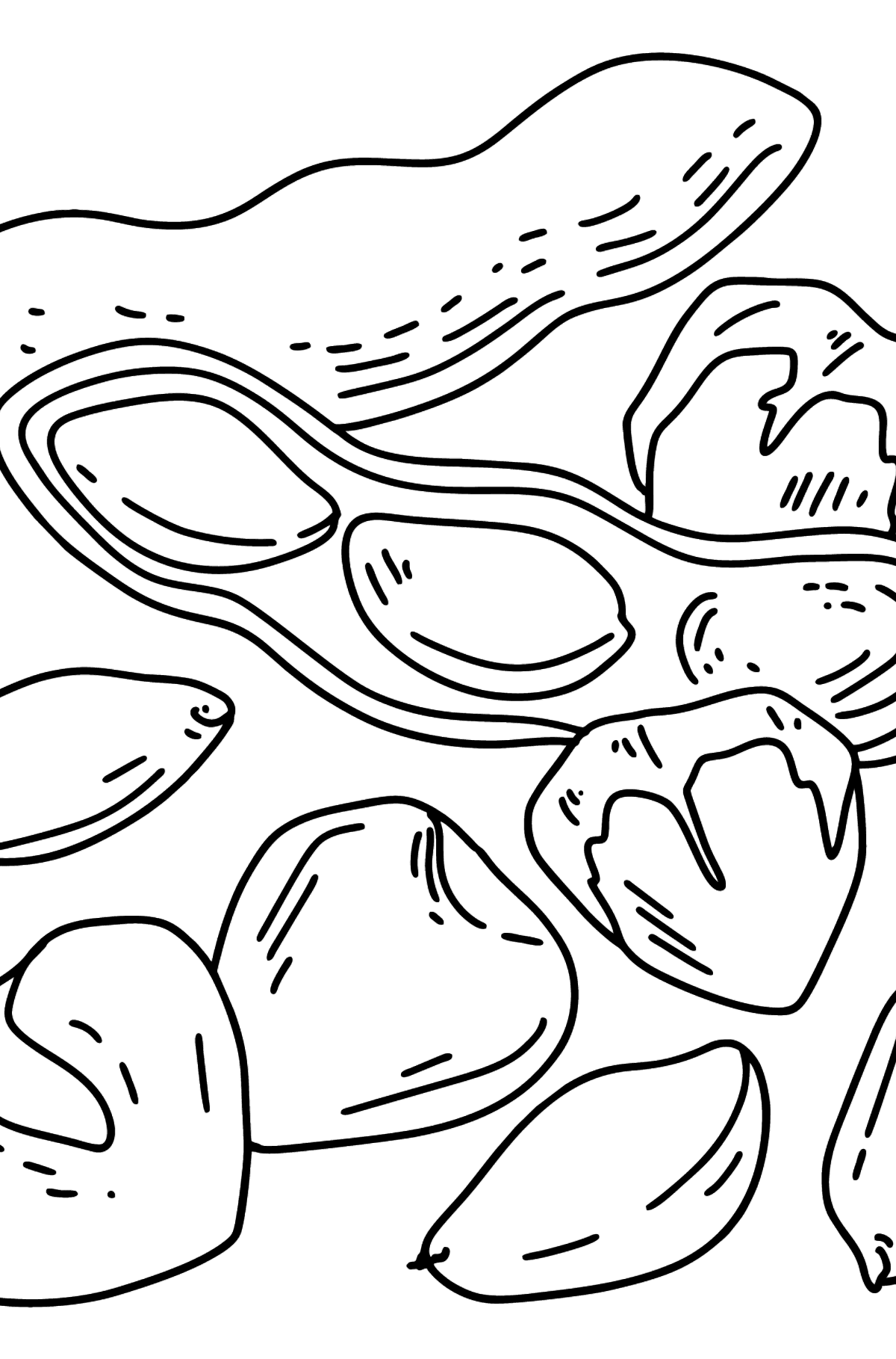 Tegning til farvning nødder - jordnødder og hasselnødder - Tegninger til farvelægning for børn
