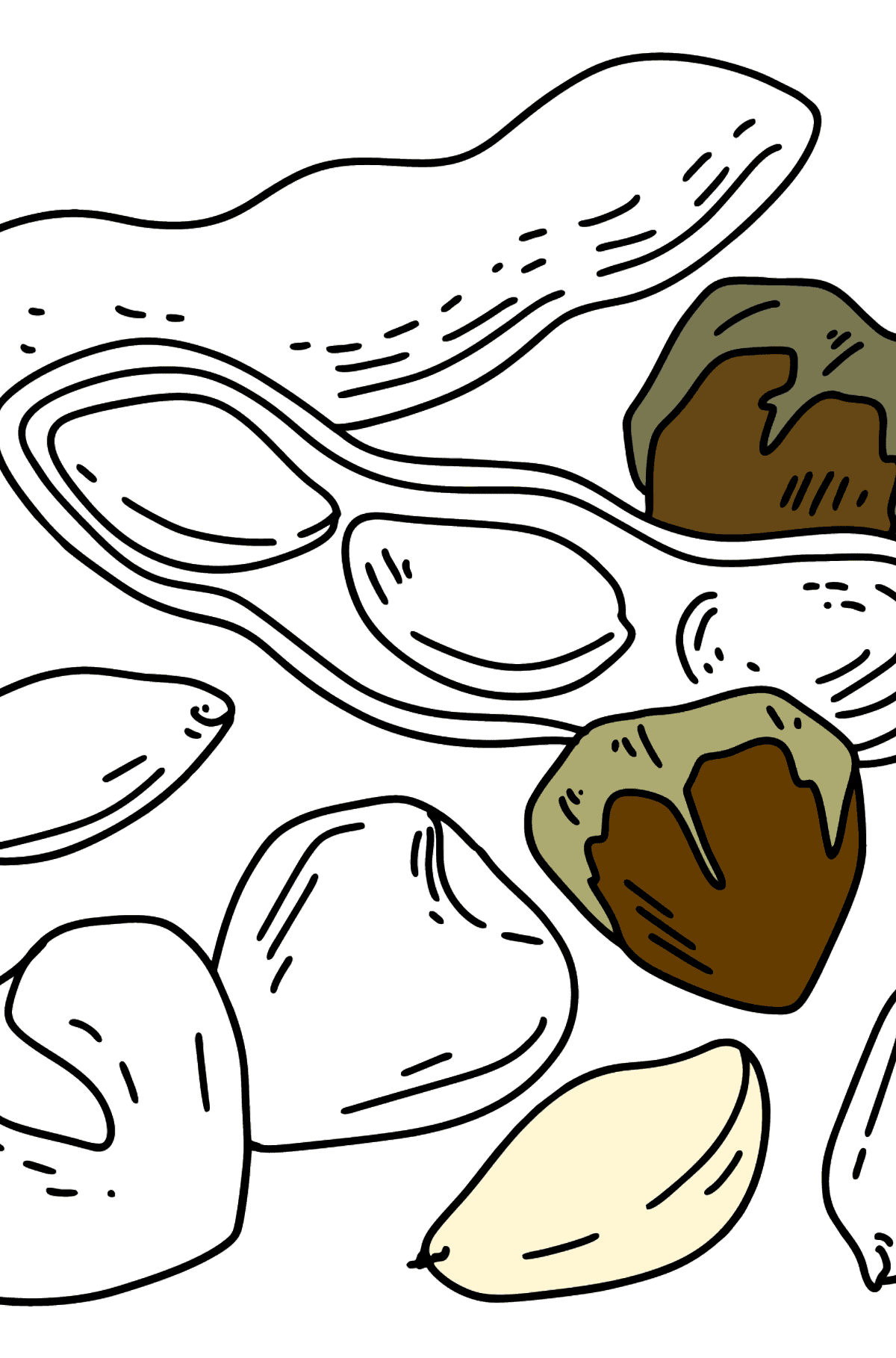 Desenho para colorir de Nozes - Amendoins e Avelãs - Imagens para Colorir para Crianças