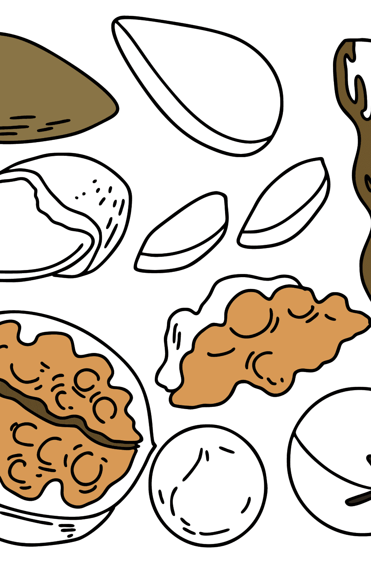Tegning til fargelegging nøtter: valnøtter, macadamia, mandler og peanøtter - Tegninger til fargelegging for barn
