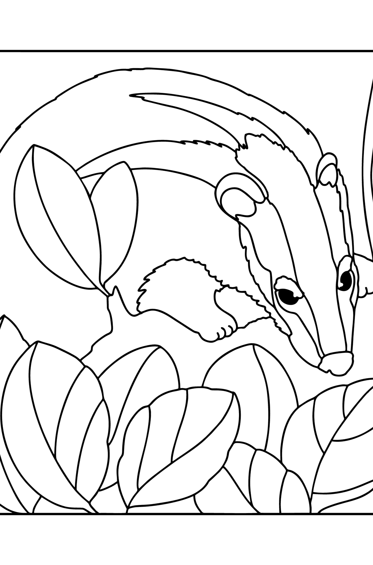Badger in the forest сoloring page - Coloring Pages for Kids
