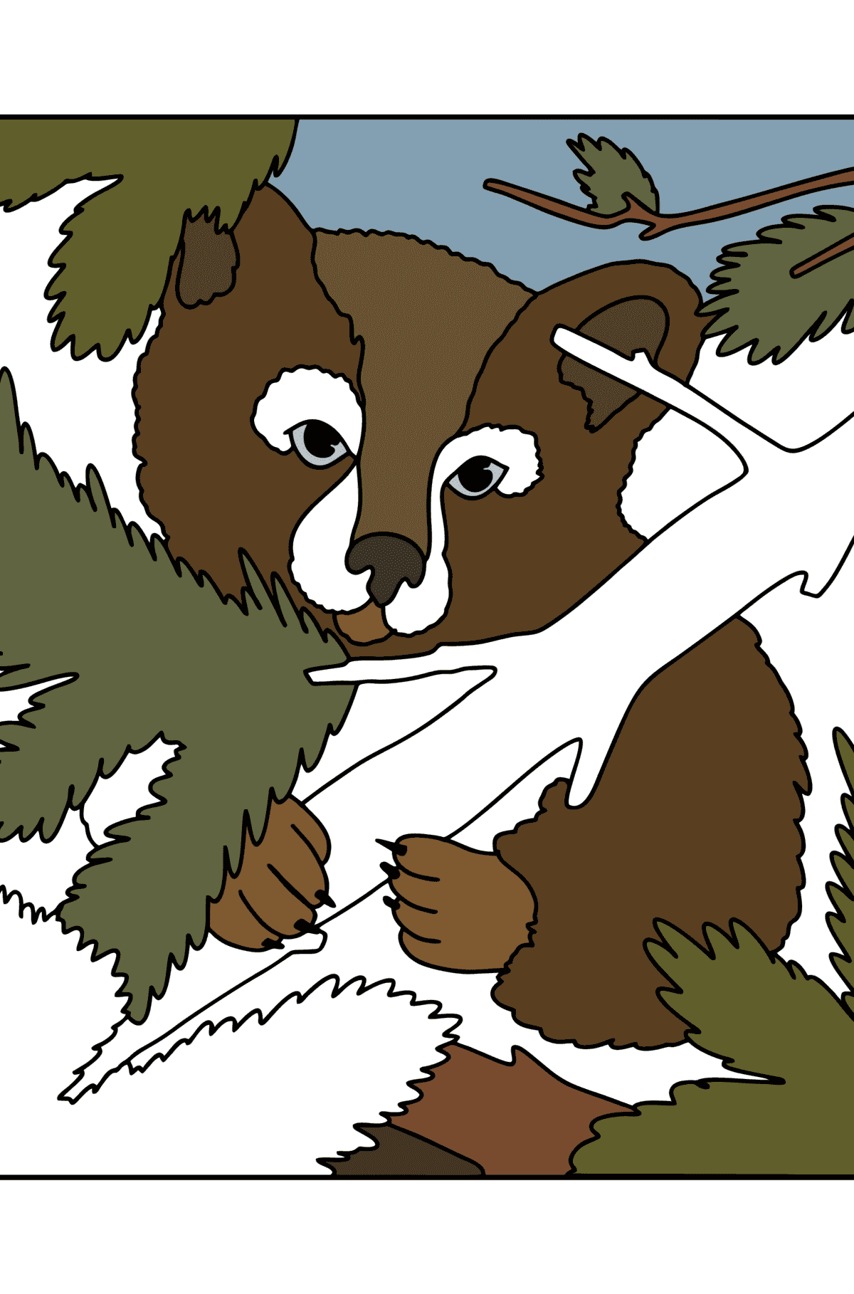 Раскраска Медвежонок в лесу - Картинки для Детей